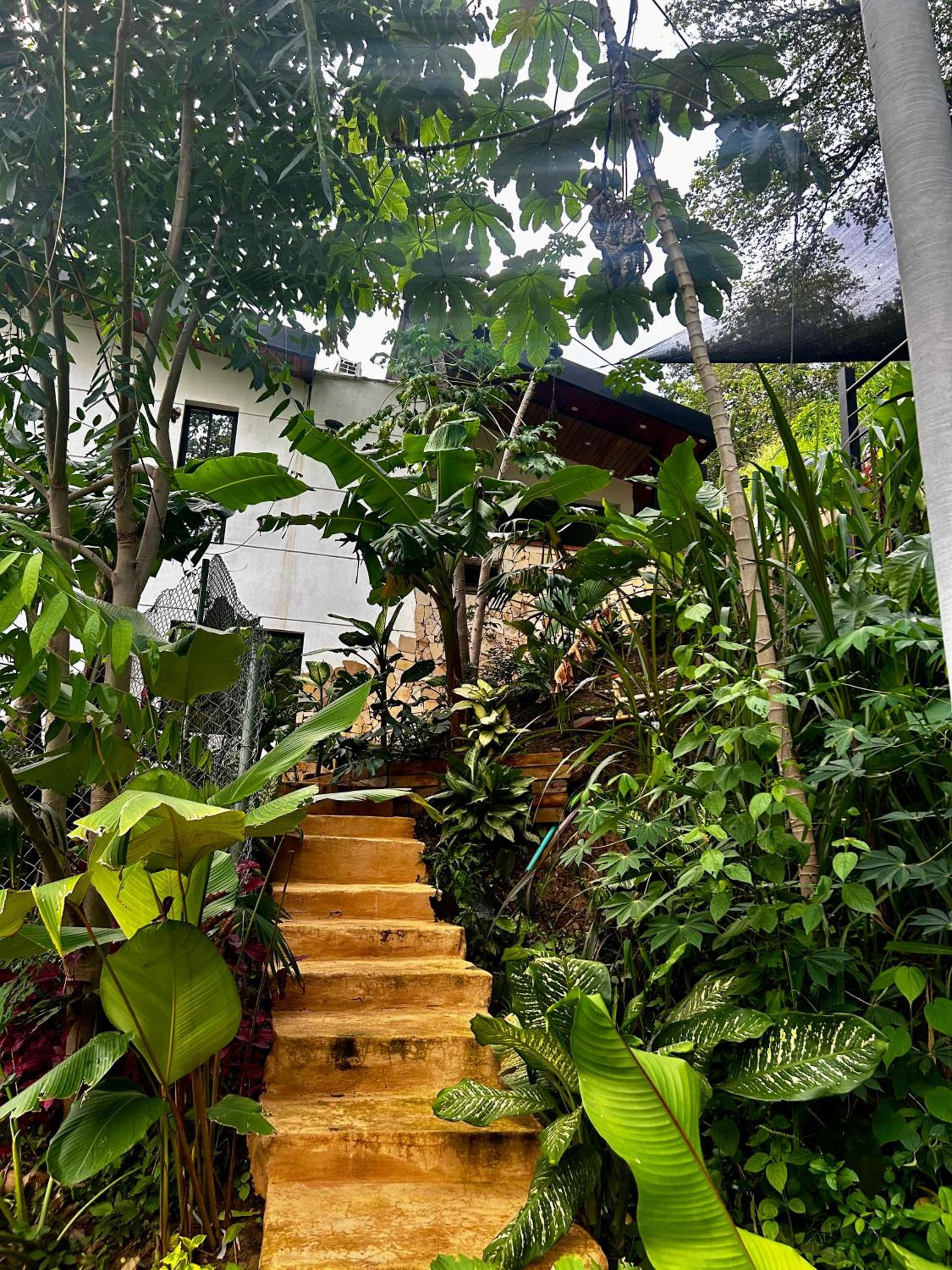 Cabaña Cedro Amarillo - Jacuzzi Grande Con Calefacción - Cerca a Medellín