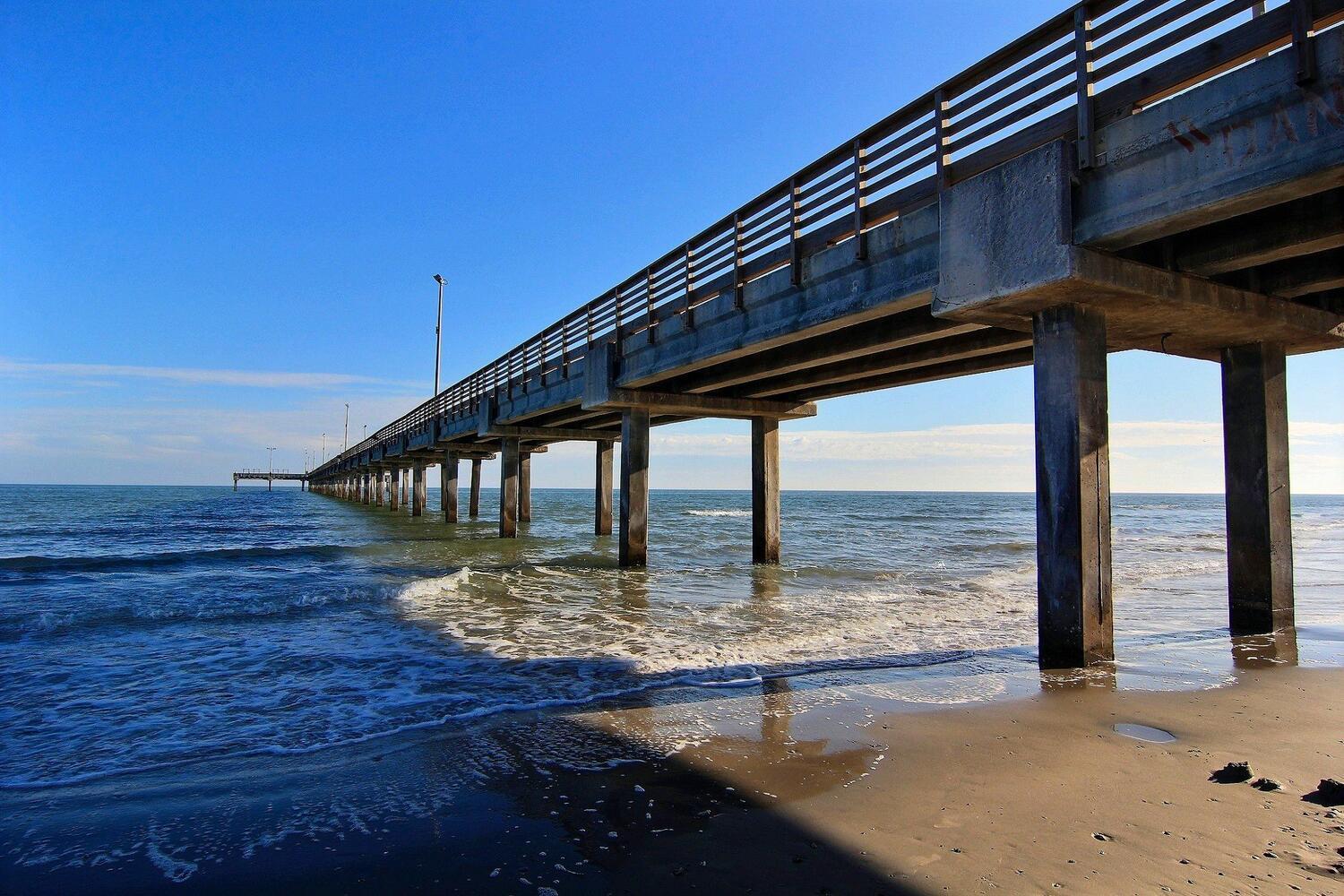 Mango and Cash VW80