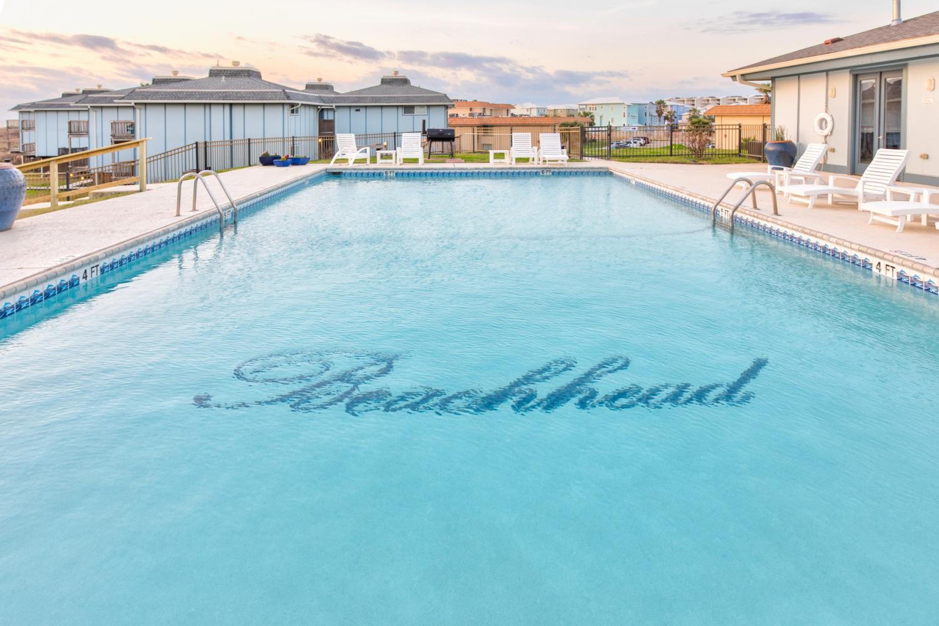 Serene Seashell BH508