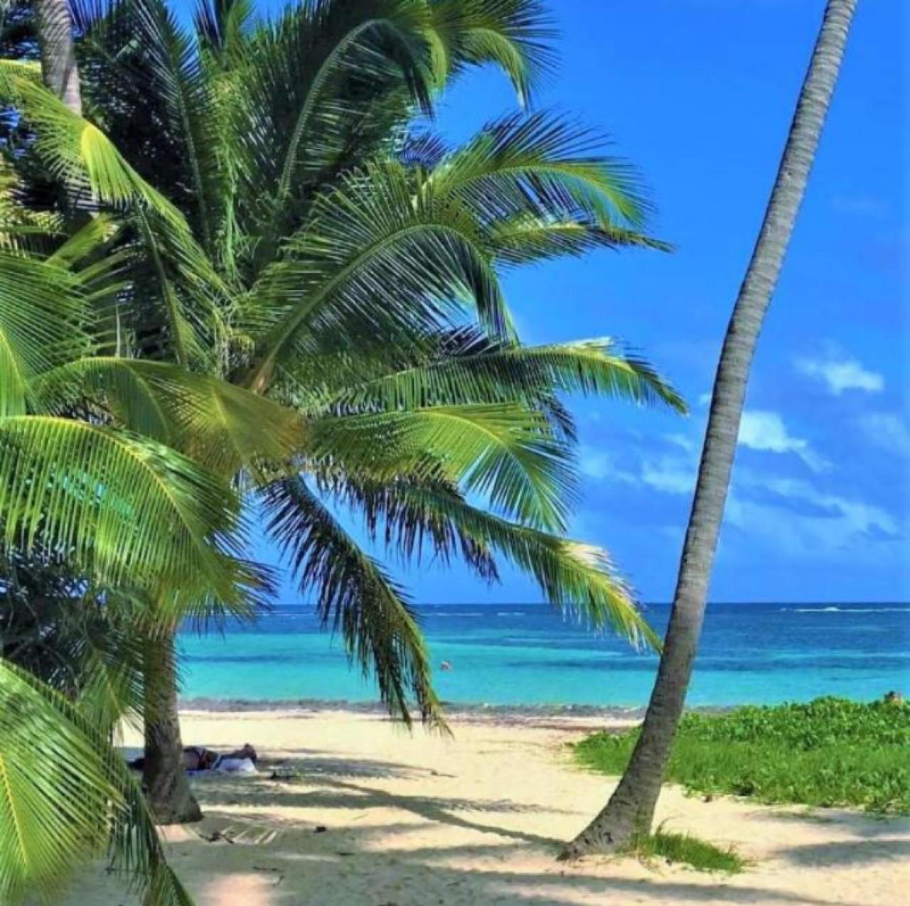 Idéal Vacances