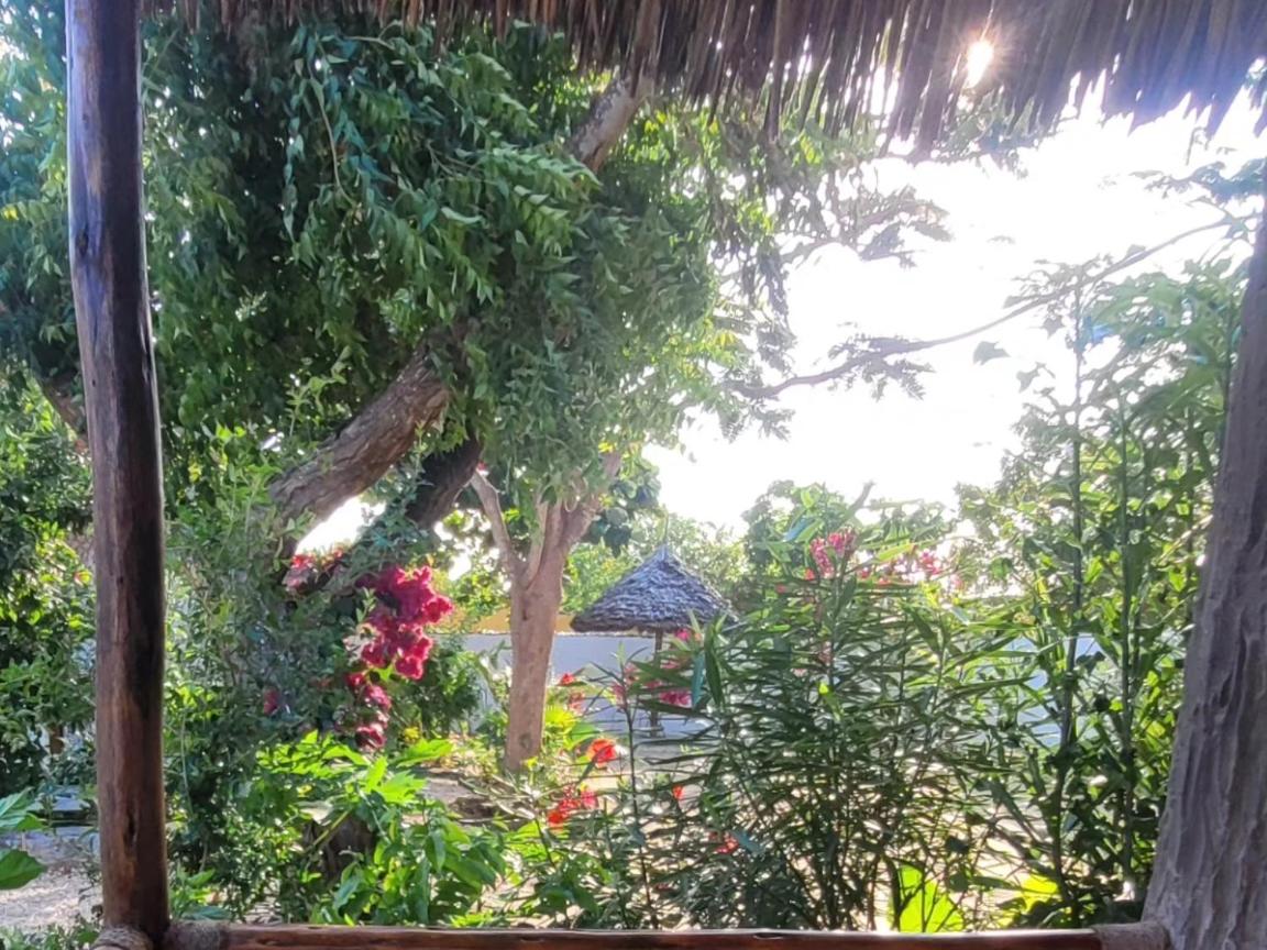 Jawda Villa