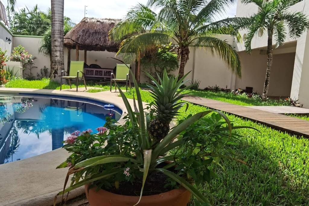 House completely furnished Total privacy 8Pax