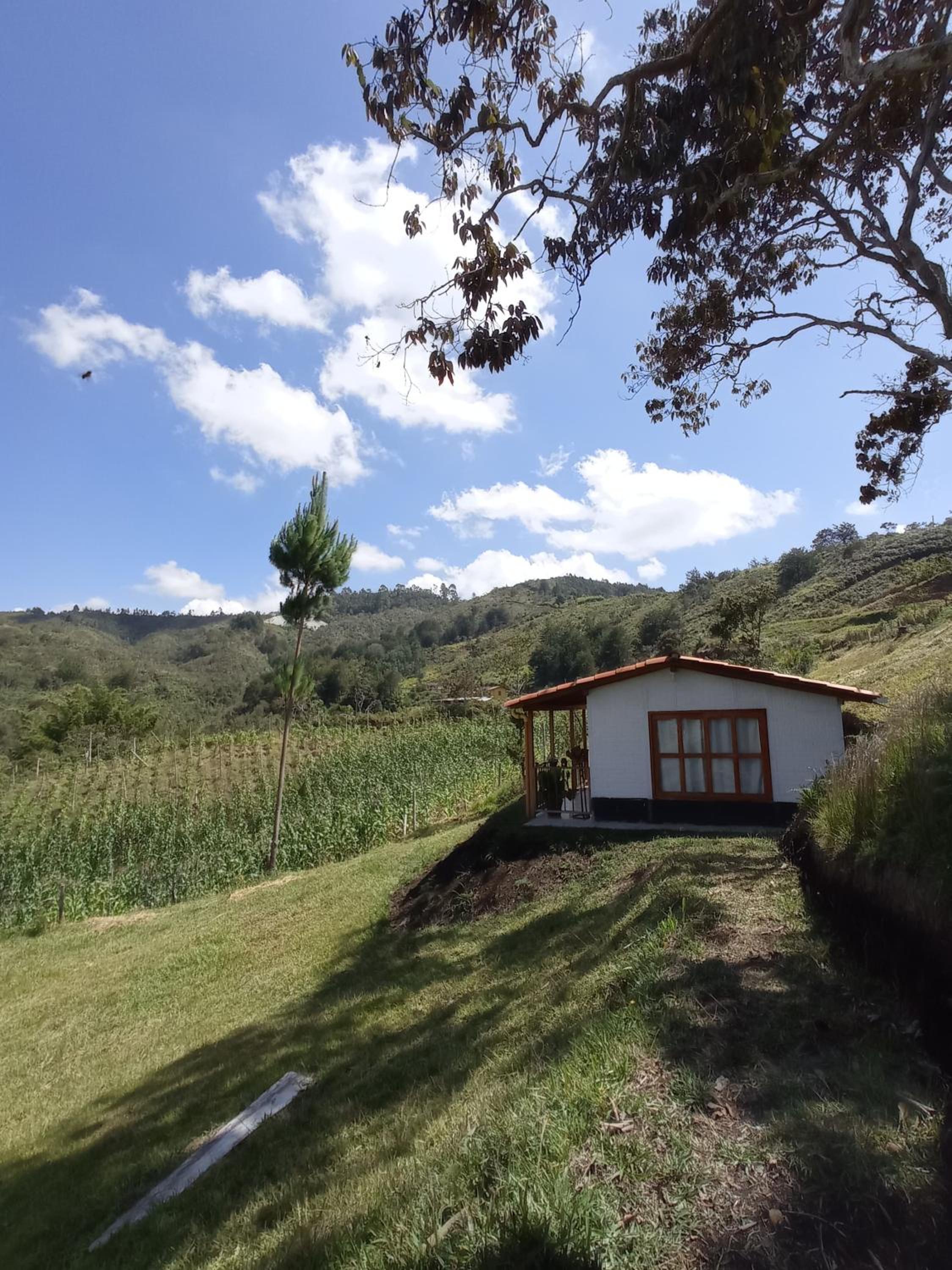Ancestral Cabaña