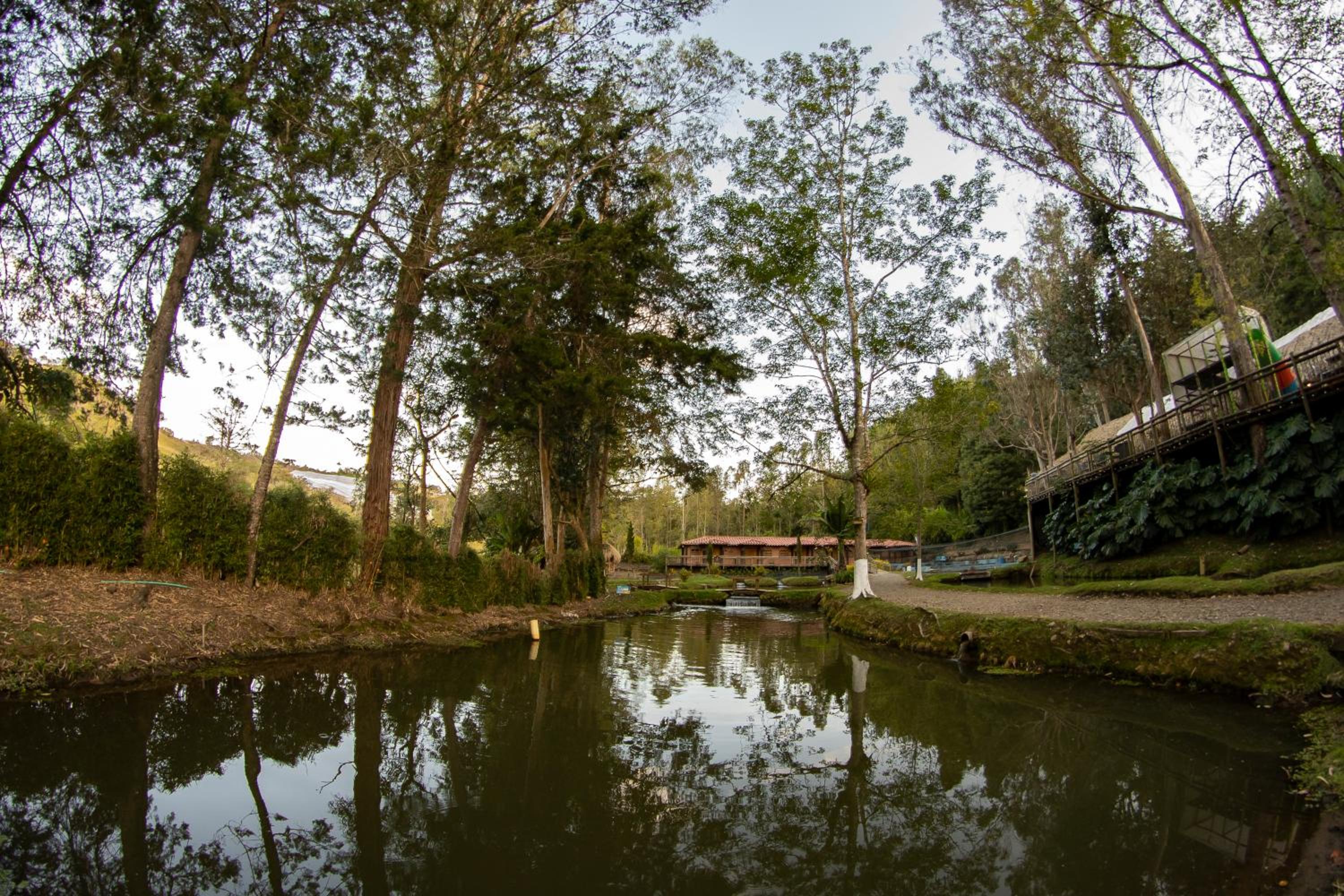 Refugio Natural - Guarne - Cabañas Ecológicas con Jacuzzi e hidromasaje