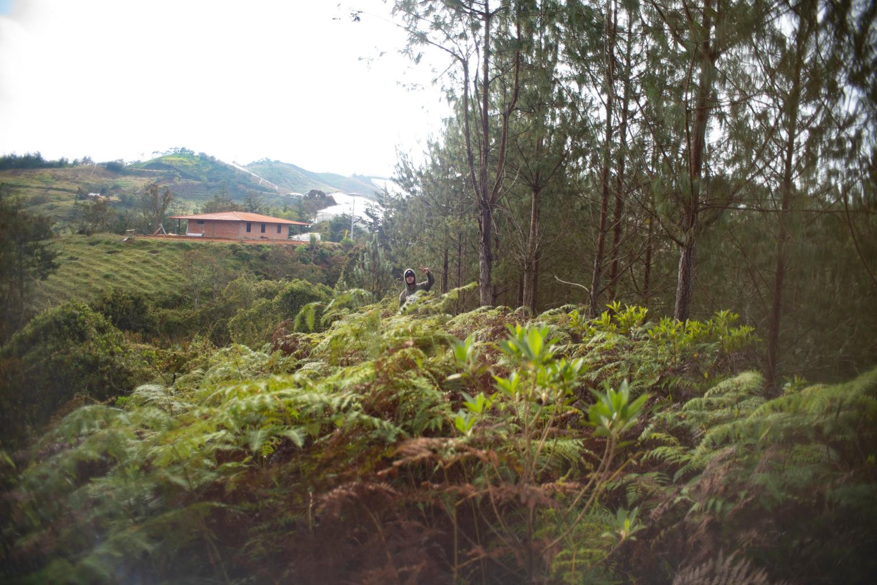 Refugio Natural - Guarne - Cabañas Ecológicas con Jacuzzi e hidromasaje