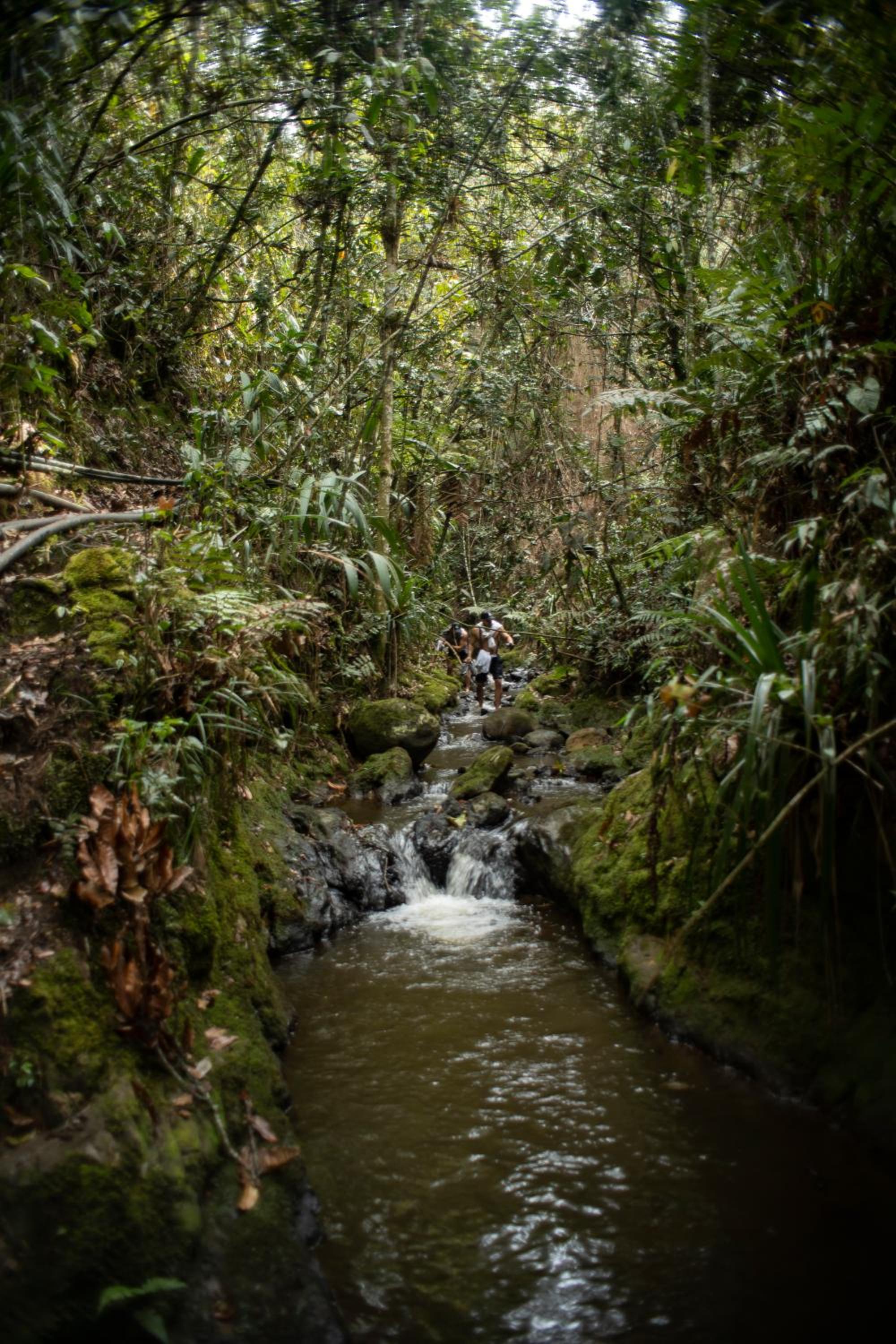 Refugio Natural - Guarne - Cabañas Ecológicas con Jacuzzi e hidromasaje
