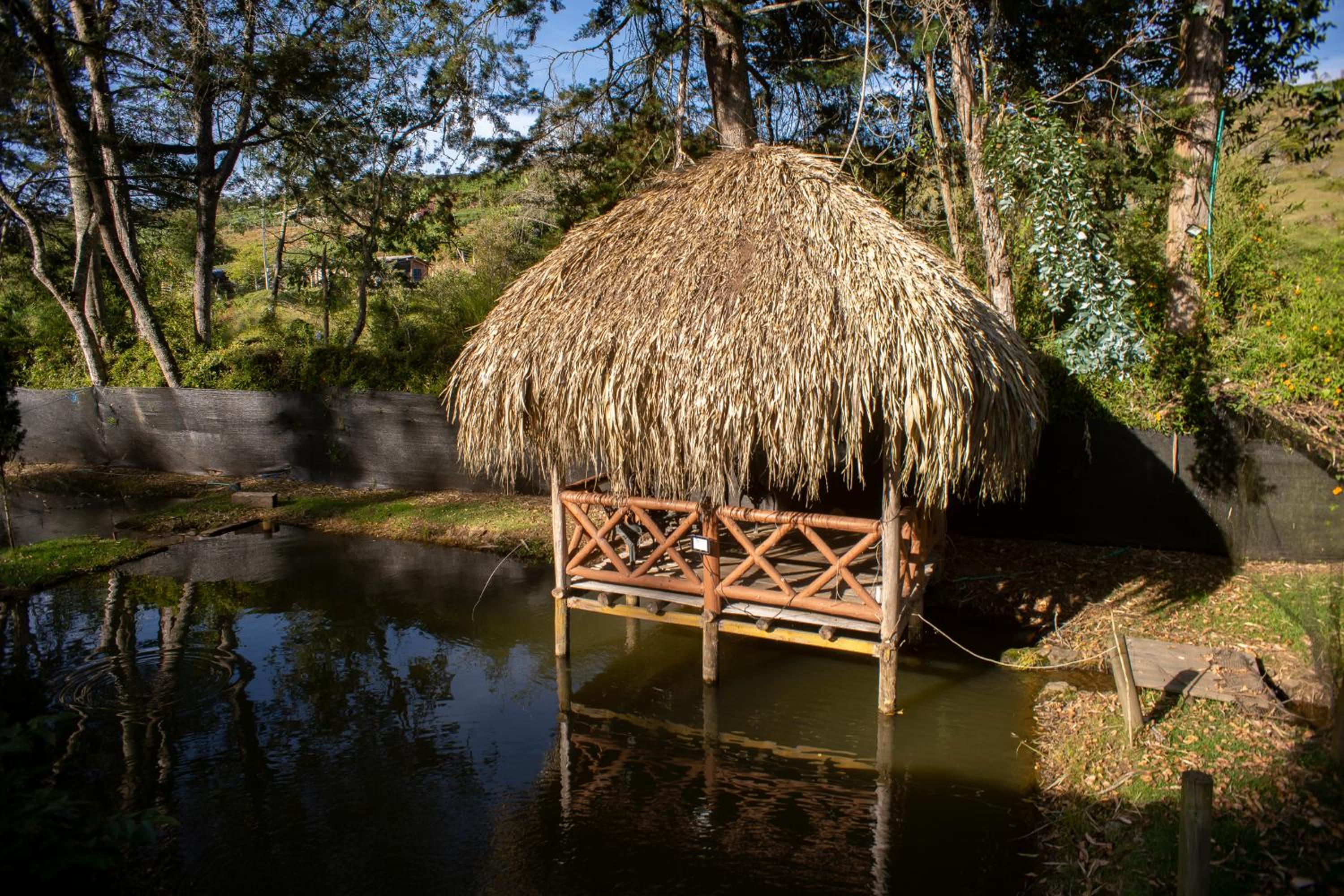 Refugio Natural - Guarne - Cabañas Ecológicas con Jacuzzi e hidromasaje