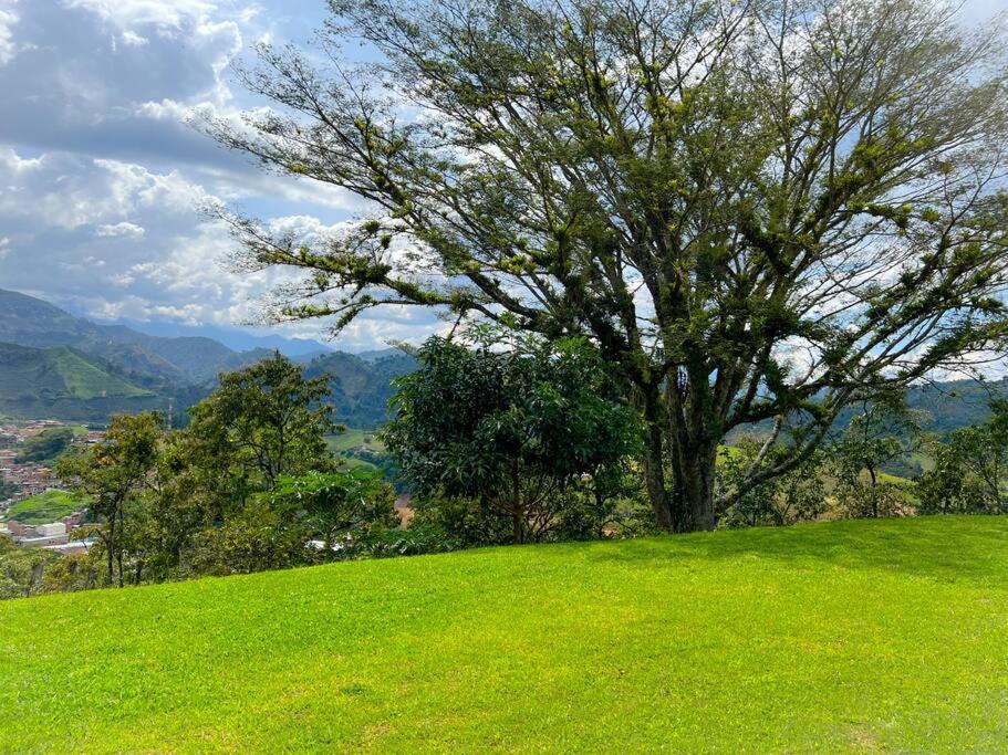 15 mins to Jardín Spacious & Convenient House