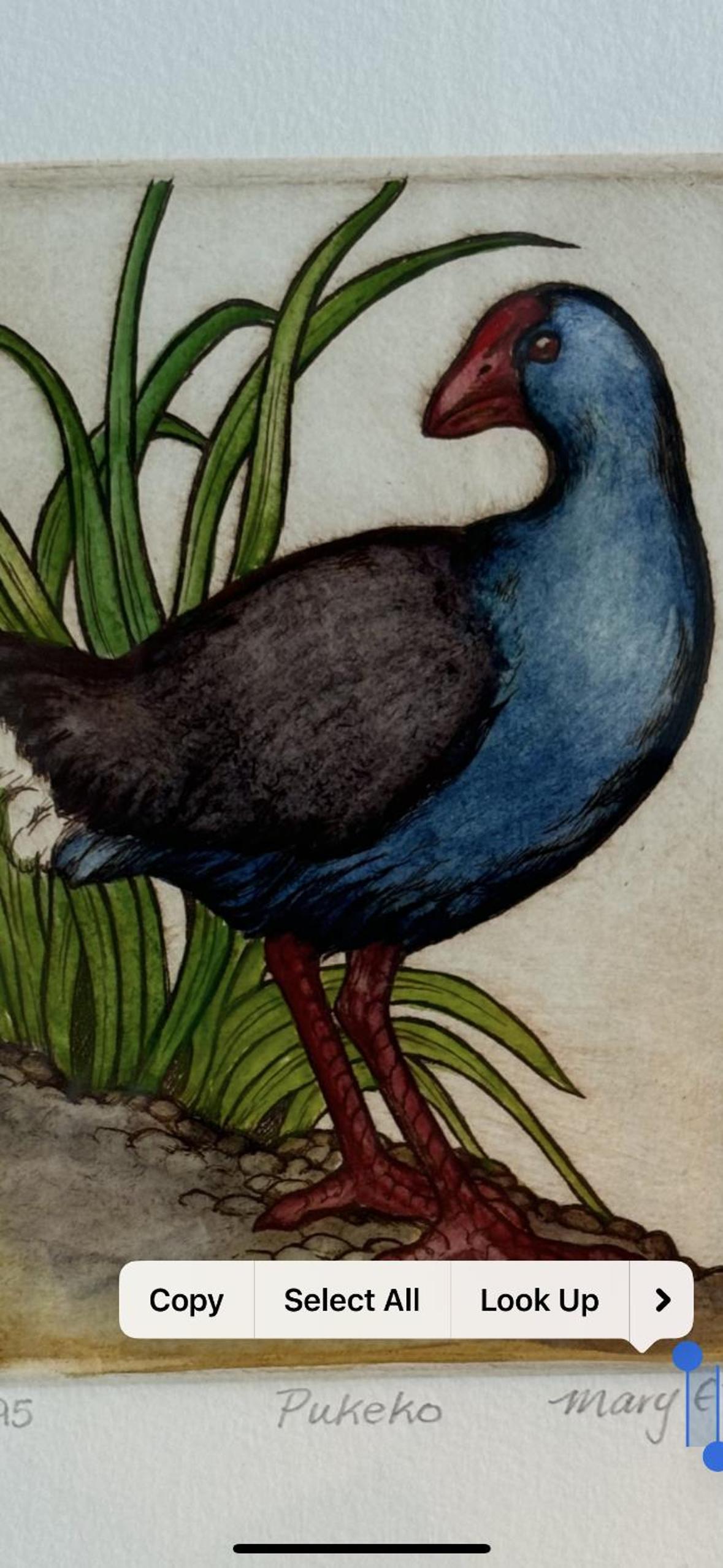 Aorangi
