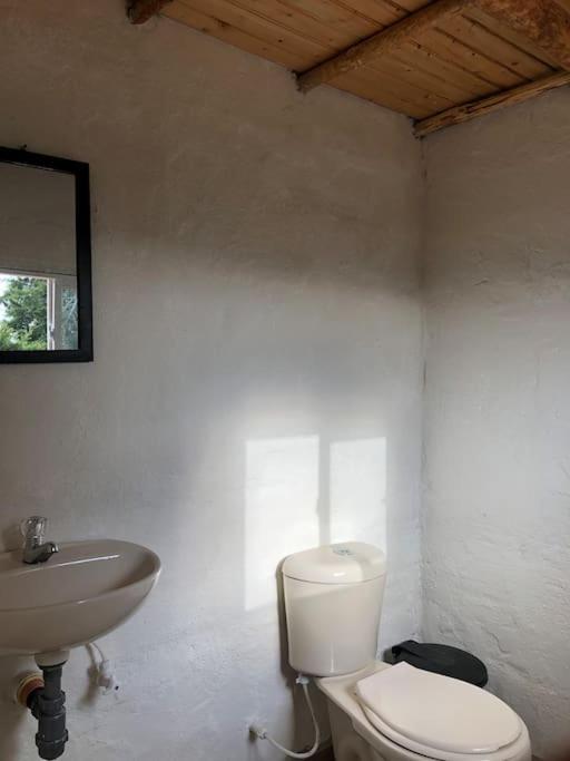 Cabaña el refugio de la montaña - Concepción