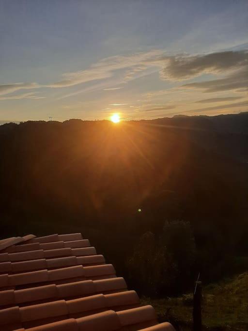 Cabaña el refugio de la montaña - Concepción