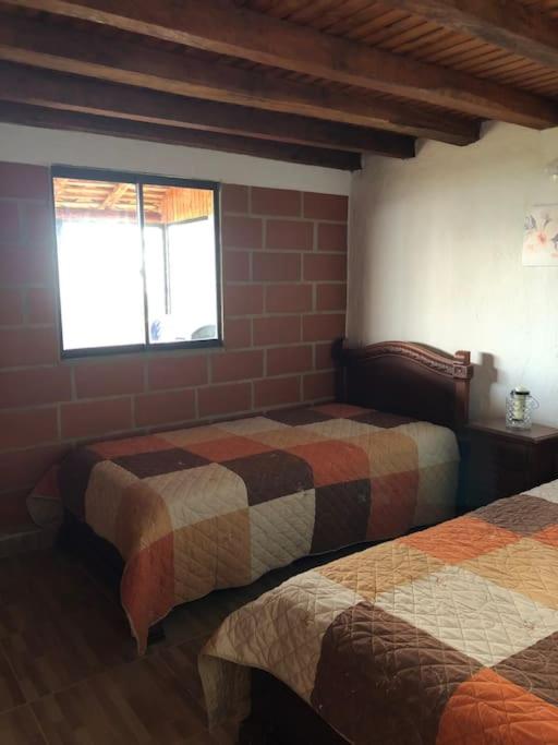 Cabaña el refugio de la montaña - Concepción