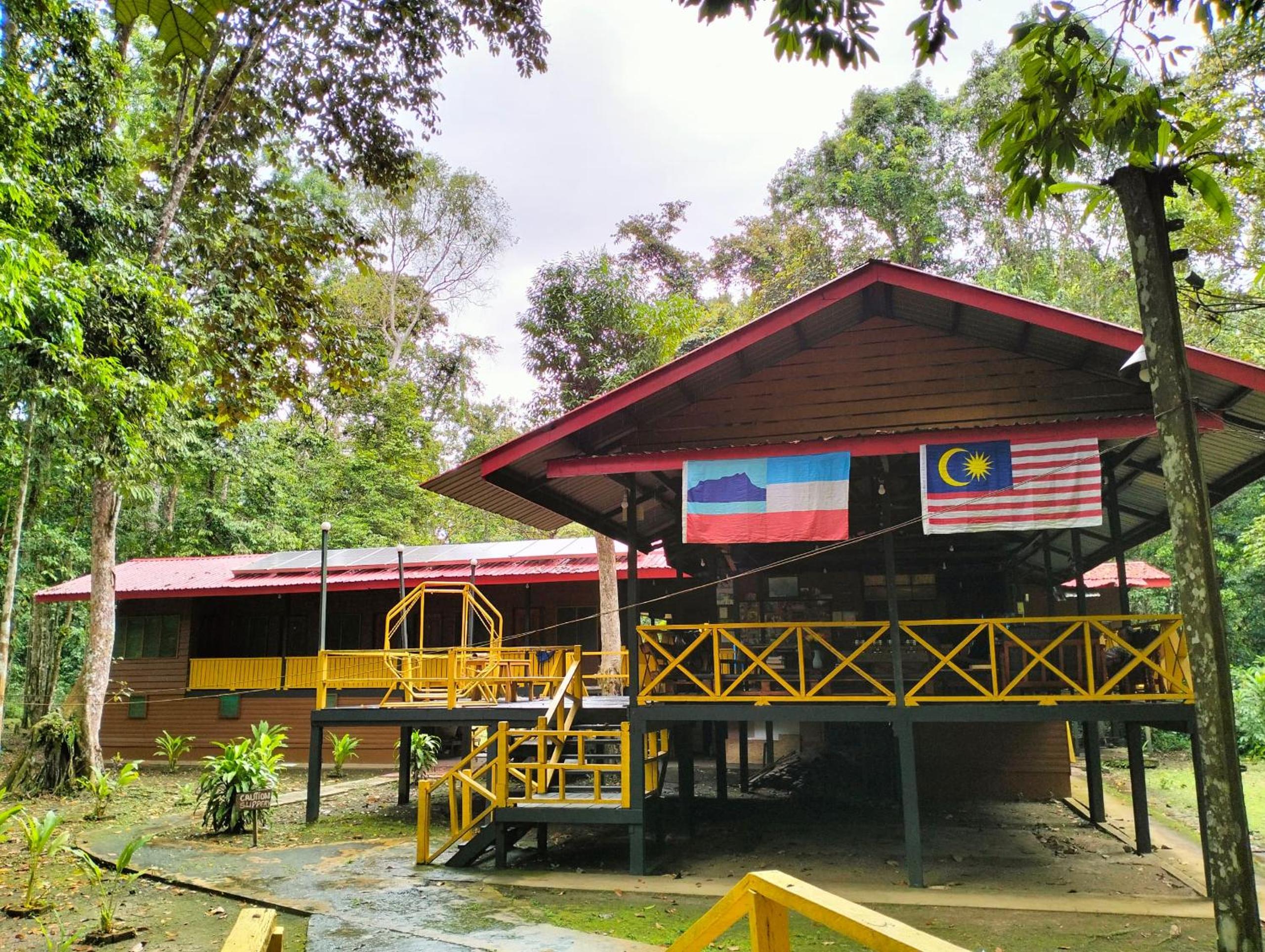 Borneo Jungle Adventure photo 1