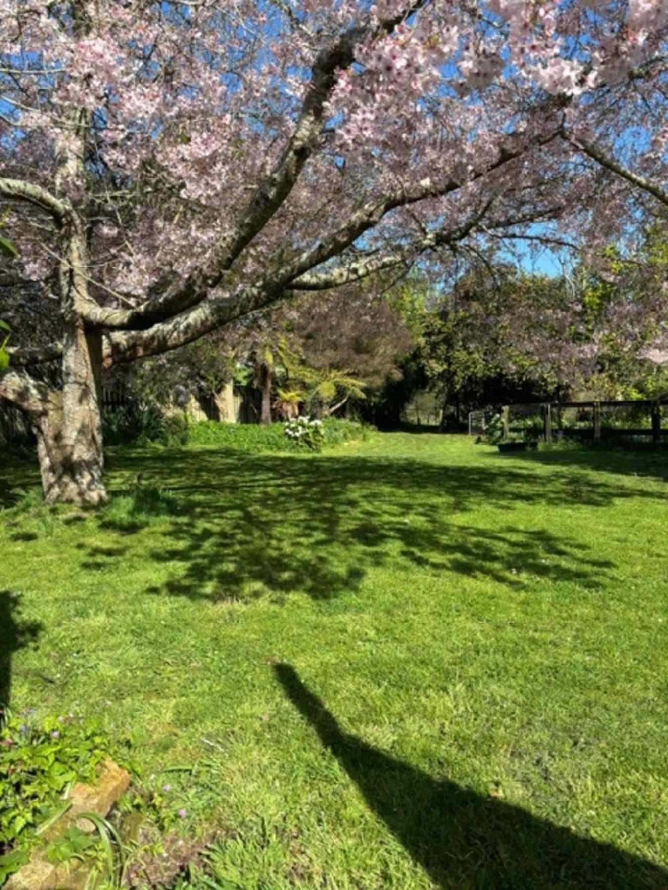 Photo 28