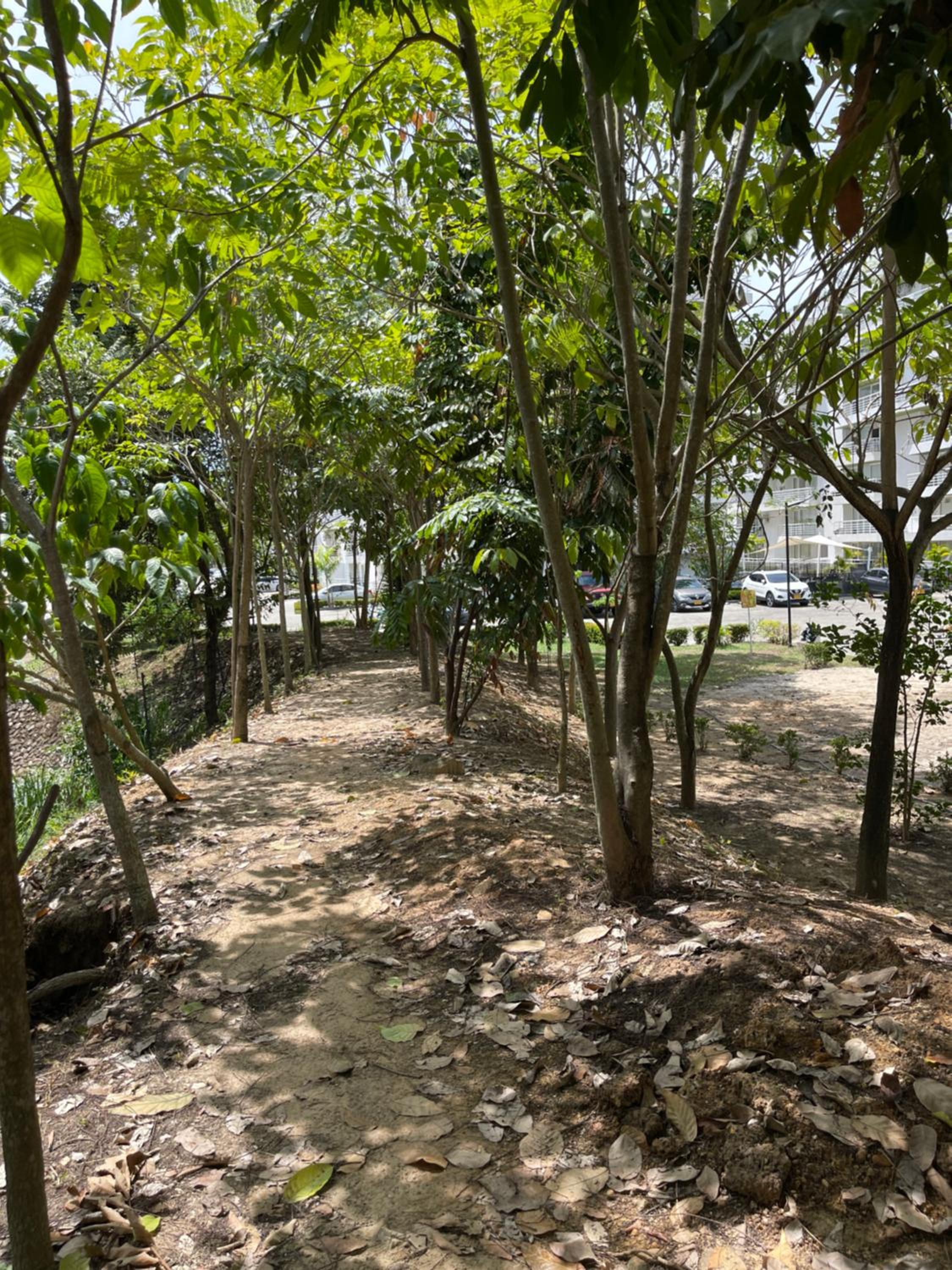 Espectacular apartamento en Melgar
