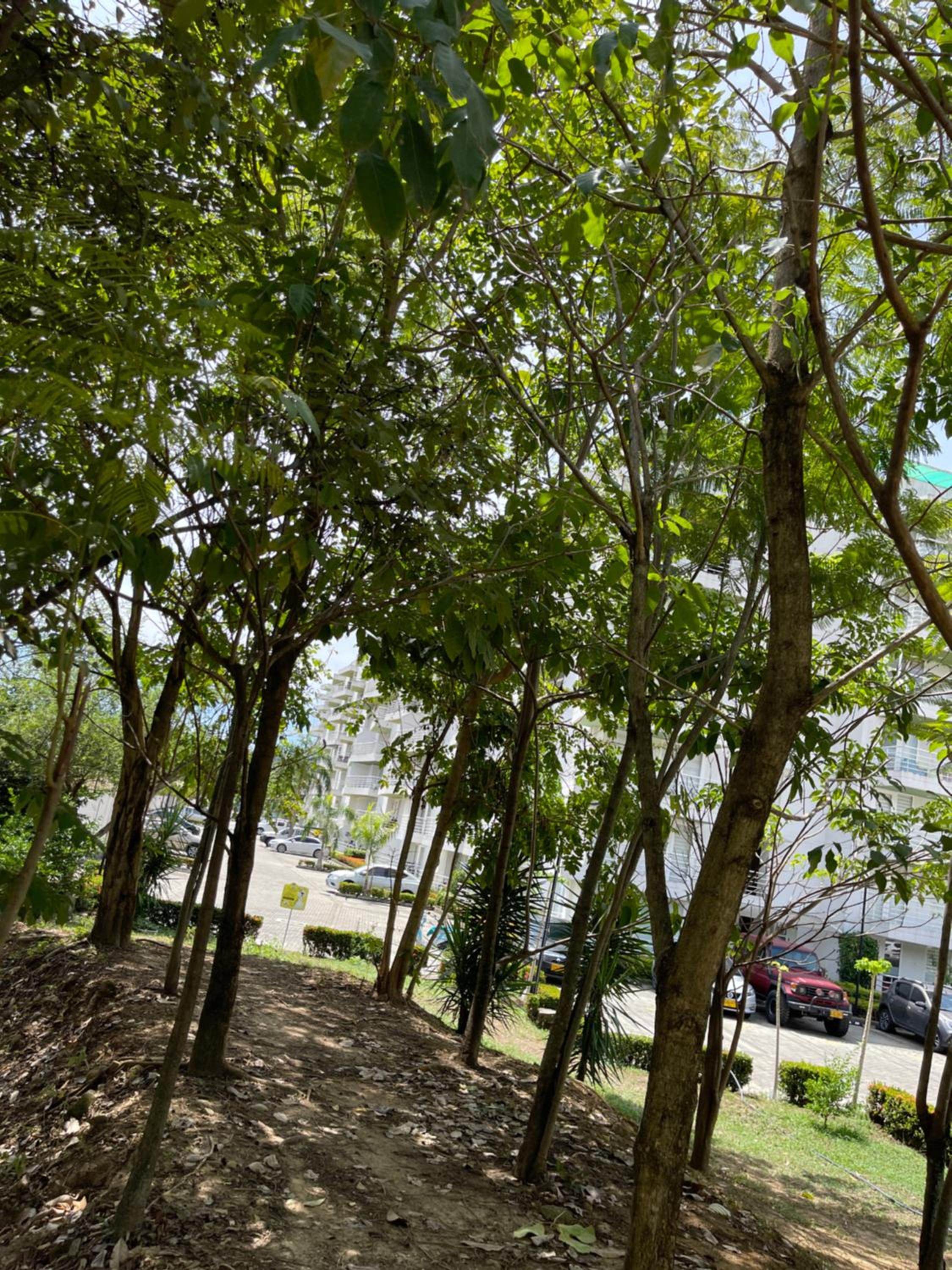 Espectacular apartamento en Melgar
