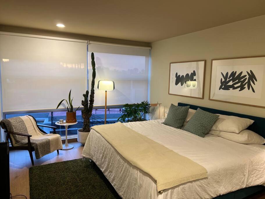 Amazing 2 Bedroom Apt Condesa photo 4