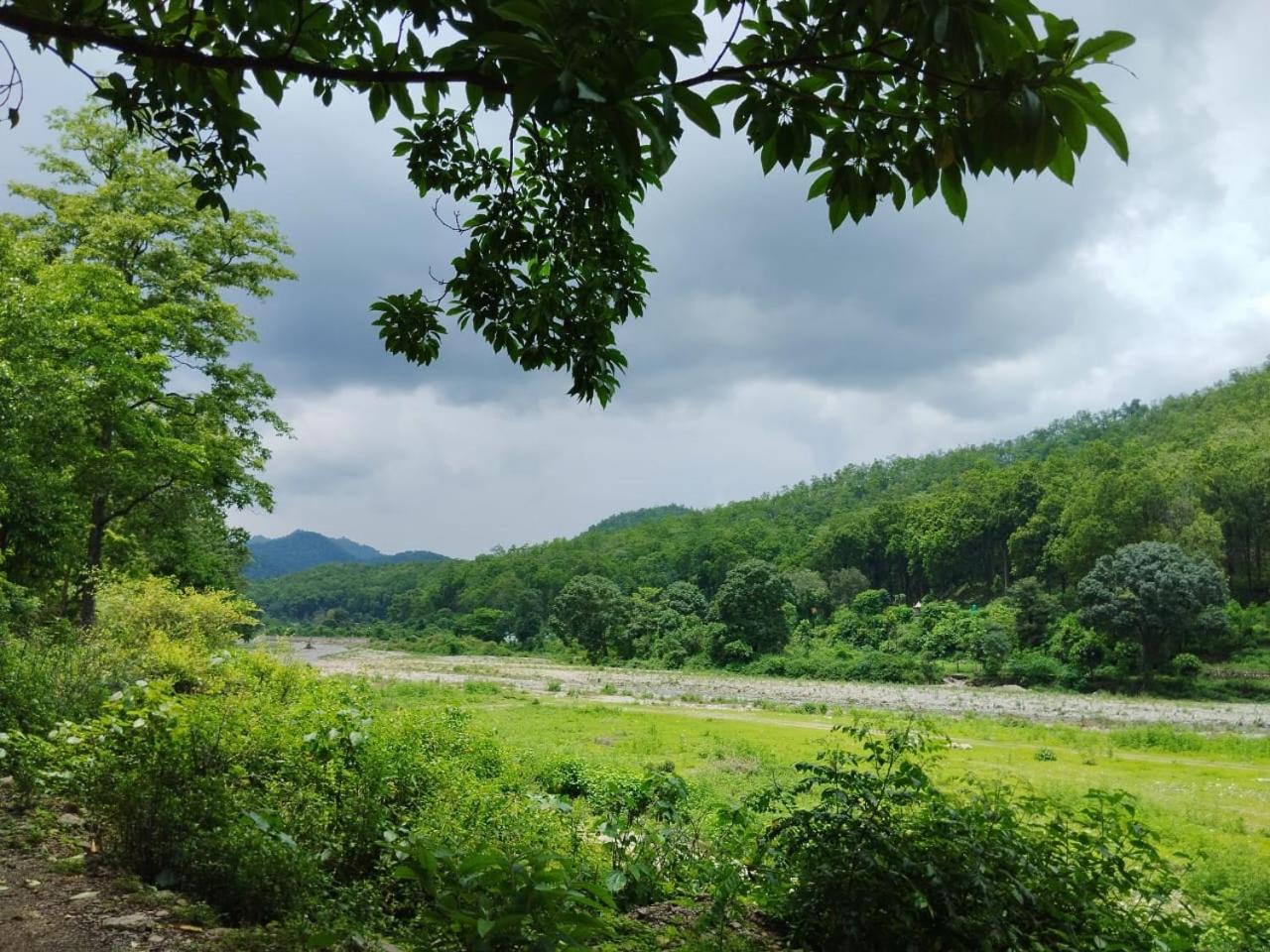 CorbettRivervalleyHomestay