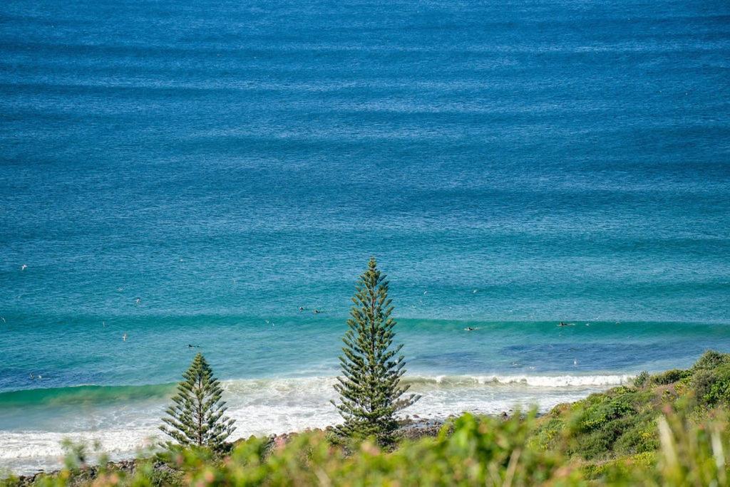 Blue Seas