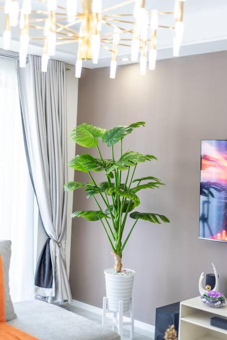 Elegant Two Bedroom Apartment