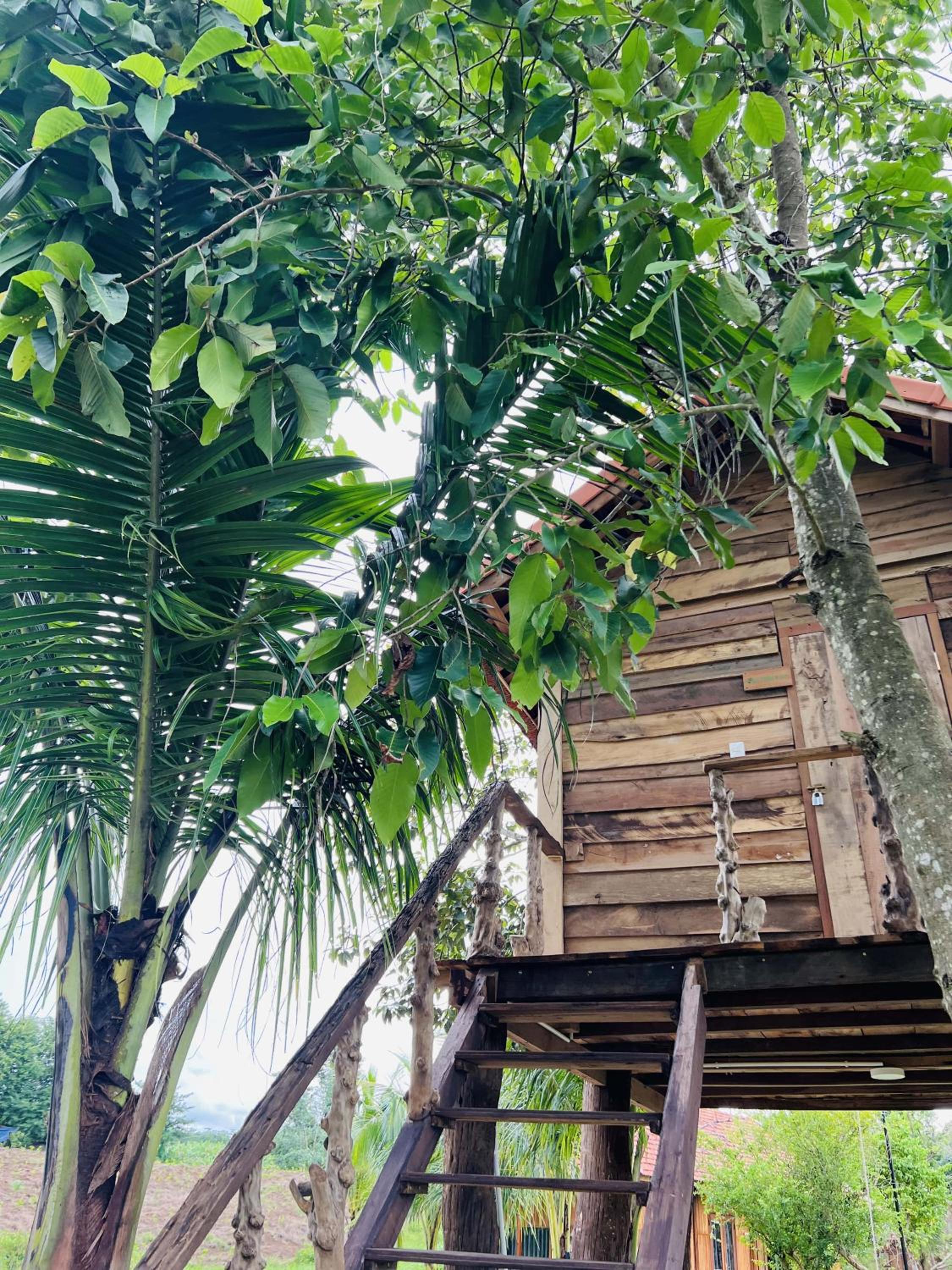 Khu Nghỉ dưỡng Sinh thái Nhà Lụa Retreat view 2
