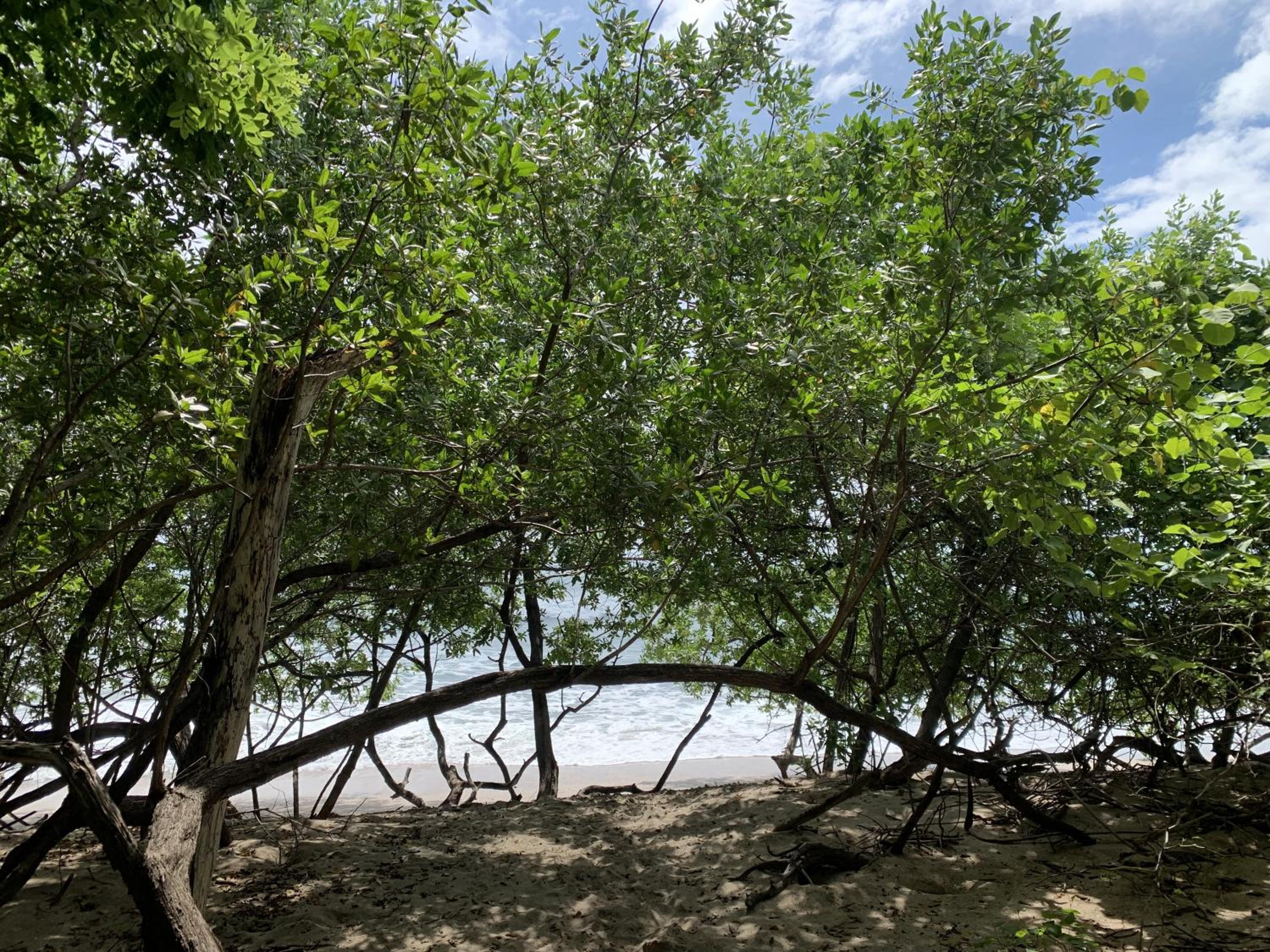 BL30 Bahia Langosta On the Beach 2bed 2bath