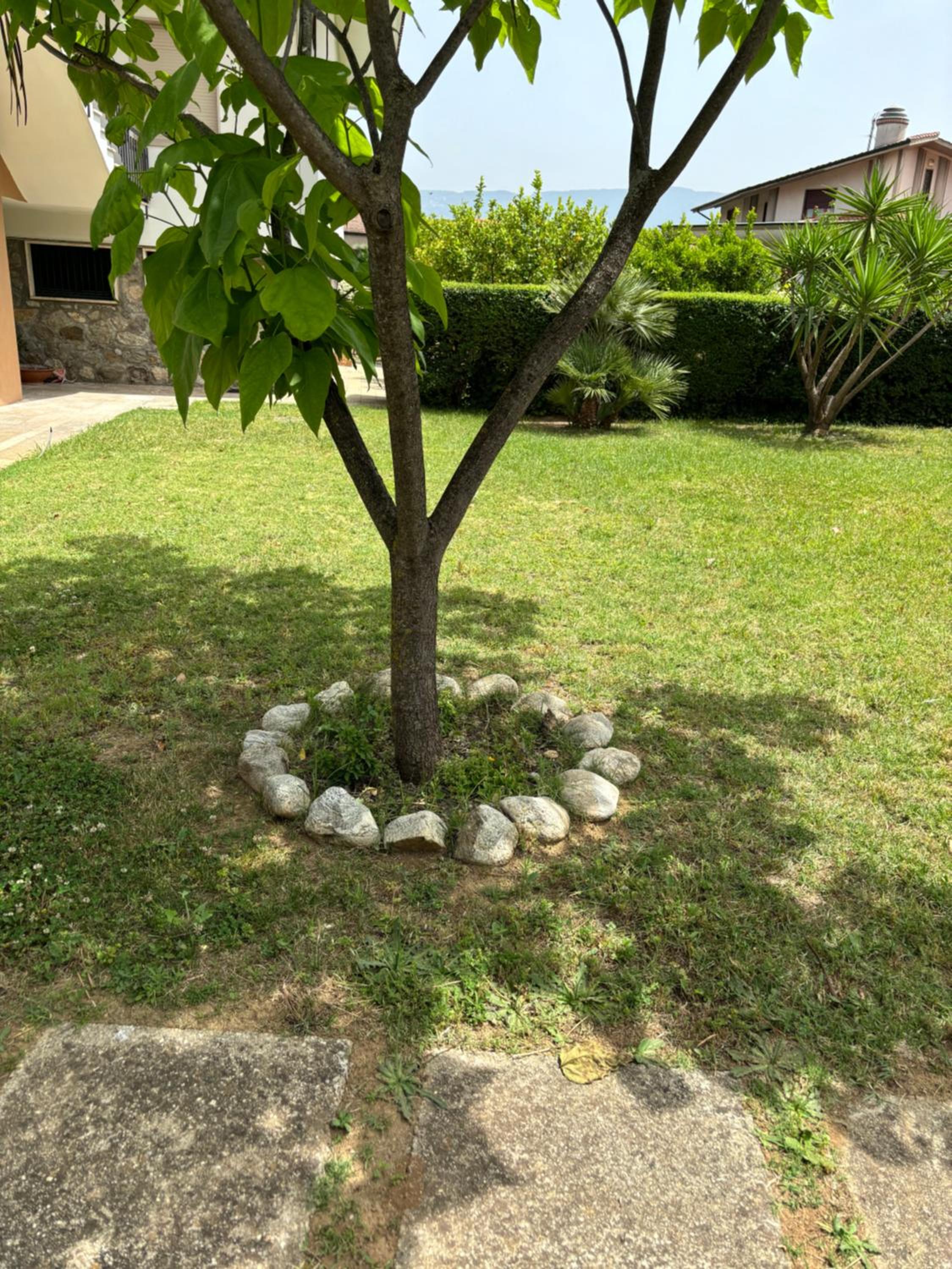 Photo 47