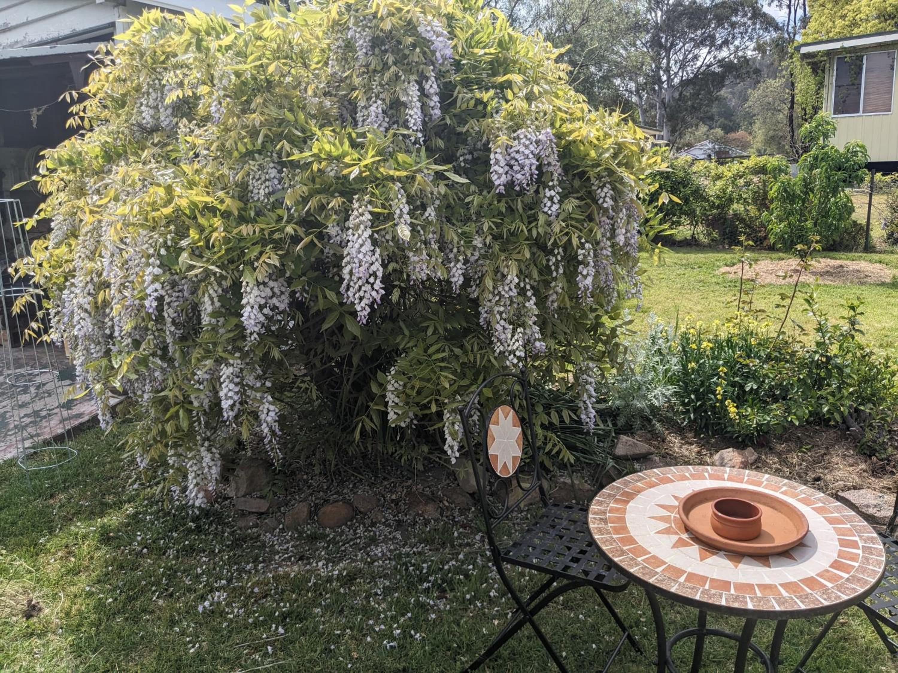 Amiens Cottage, historic, quiet, in heart of Stanthorpe