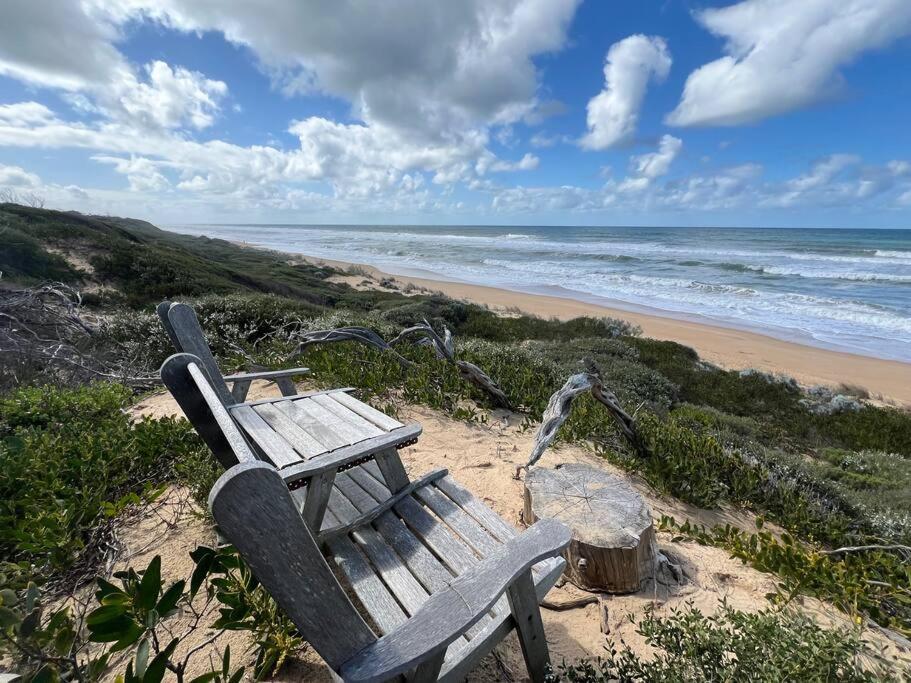 Golden Beach Beauty!