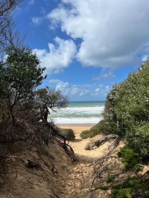 Golden Beach Beauty!
