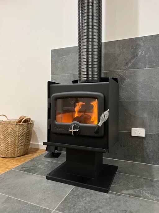 Golden Beach Beauty!