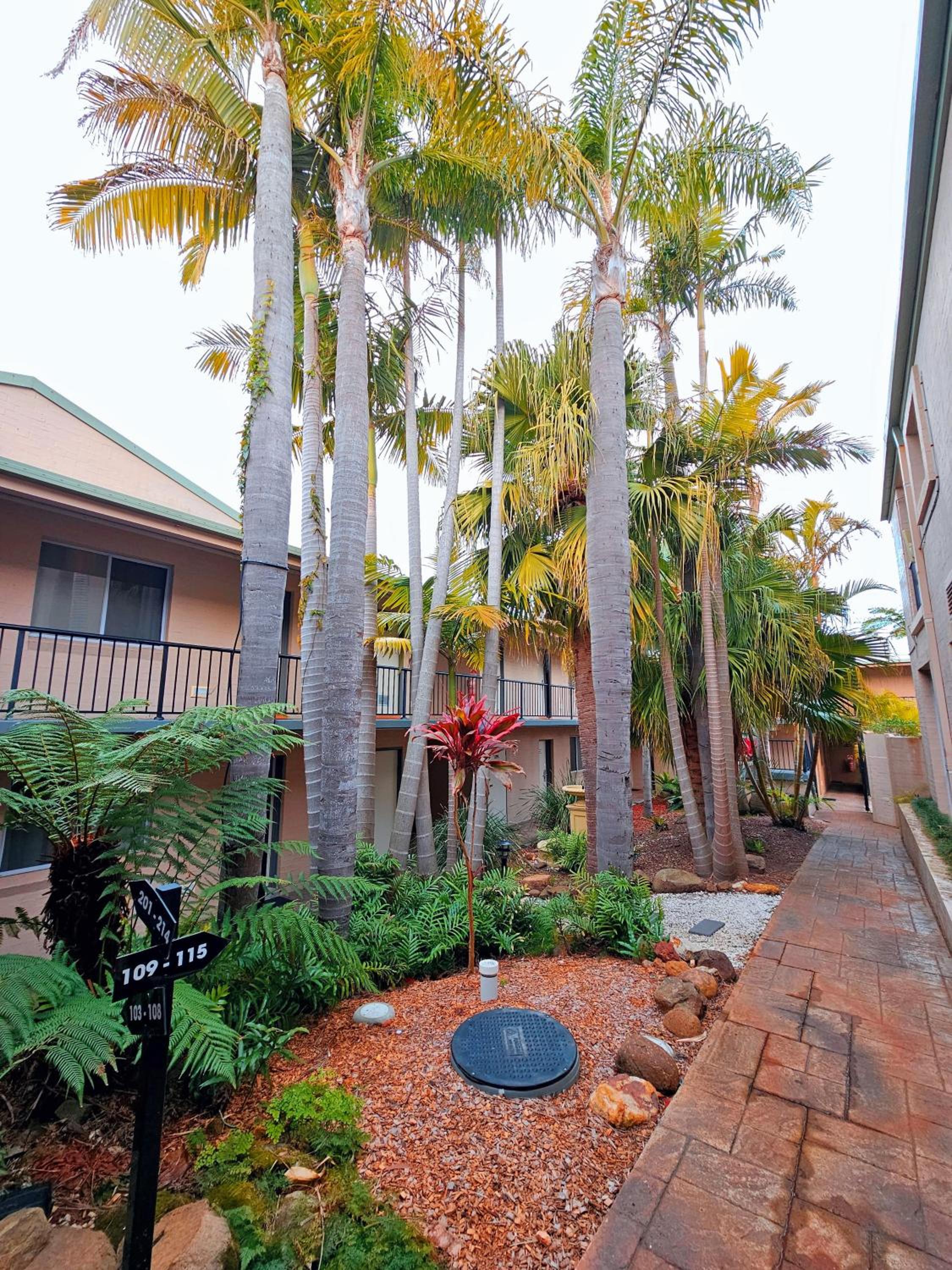 Mollymook Shores
