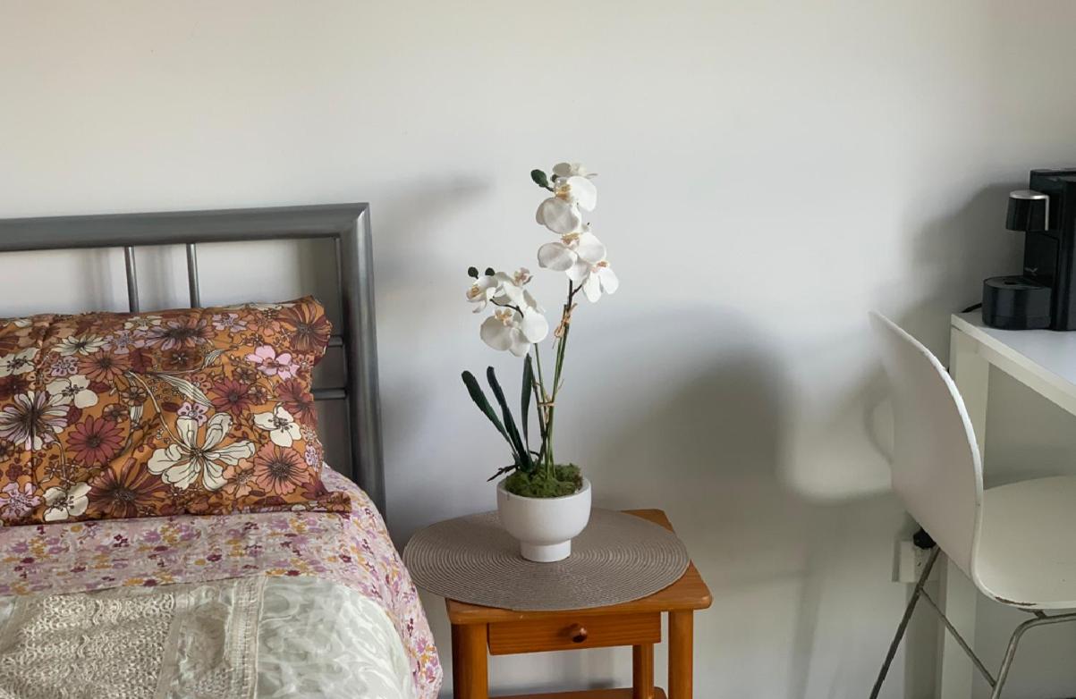Bondi Central Studio with en-suite, next to Station, plus access to Rooftop BBQ & City View Bliss