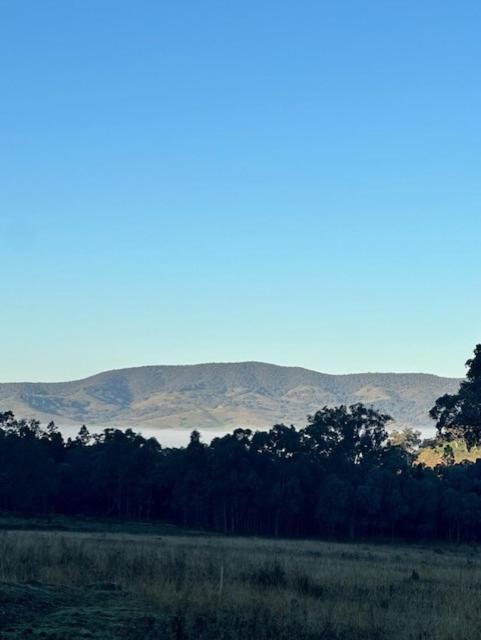 Brigadoon Farm stays Mudgee