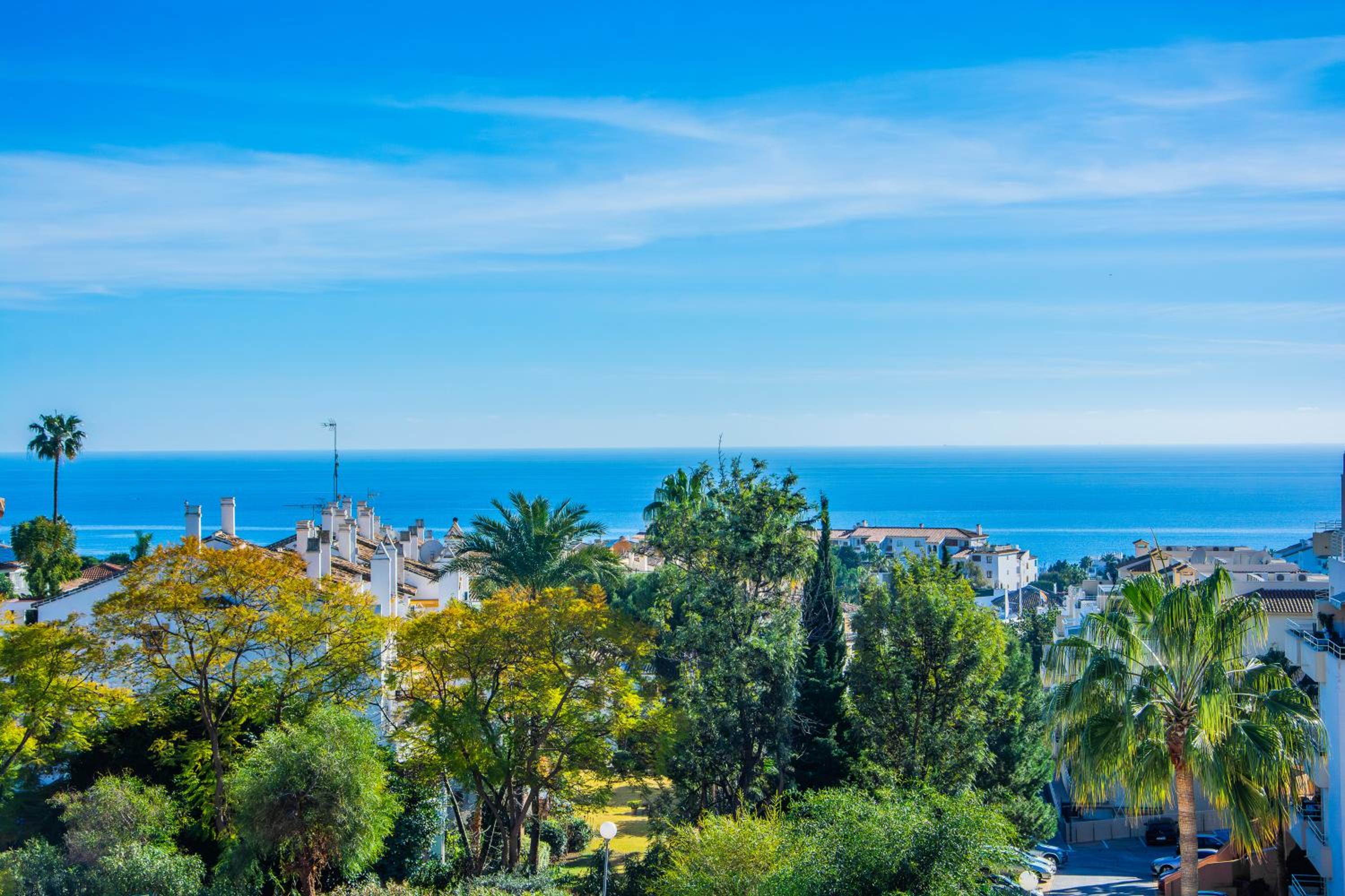 Riviera Alto Escape