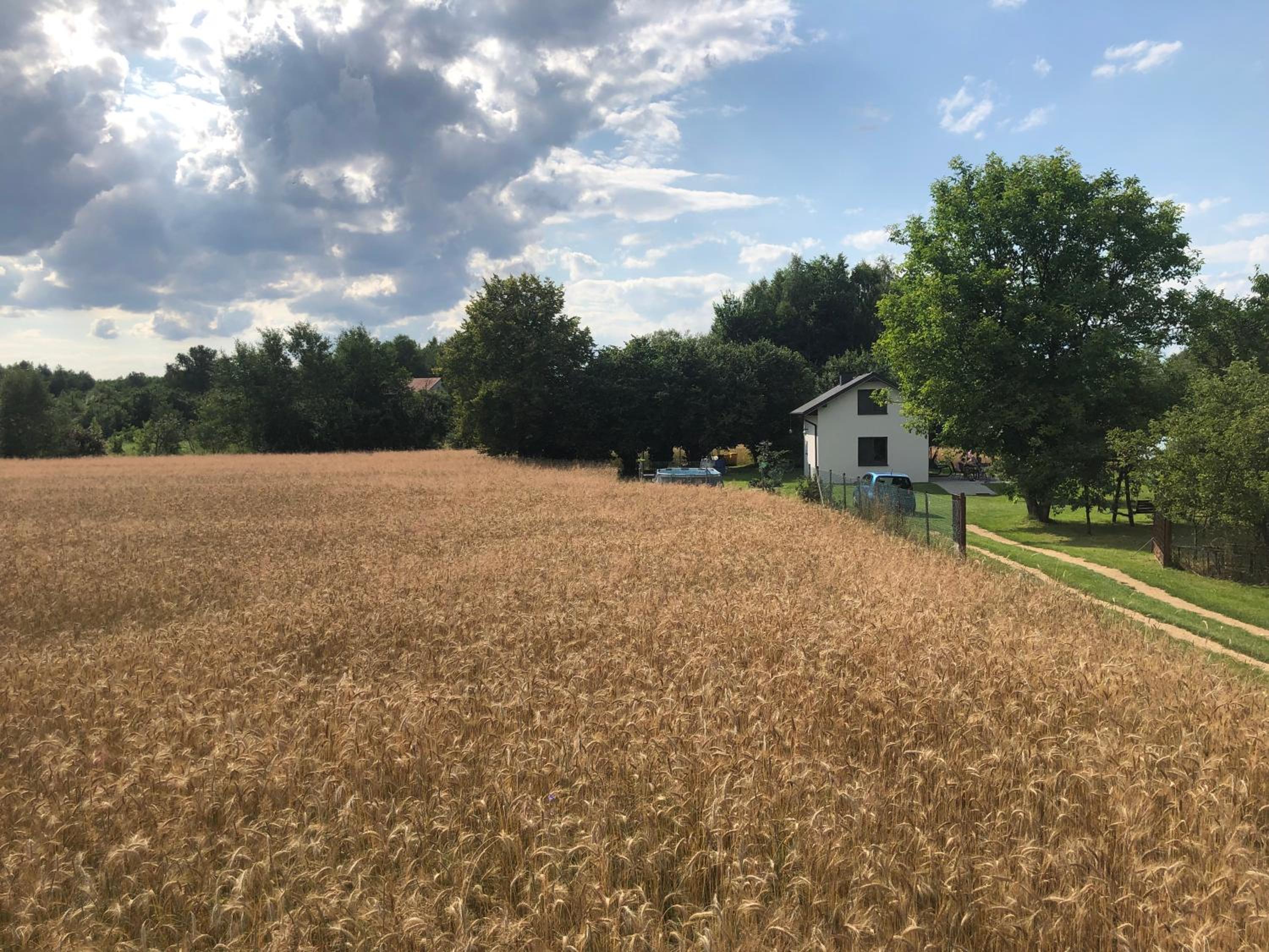 Domek na Jurze Krakowsko Częstochowskiej, Agroturystyka