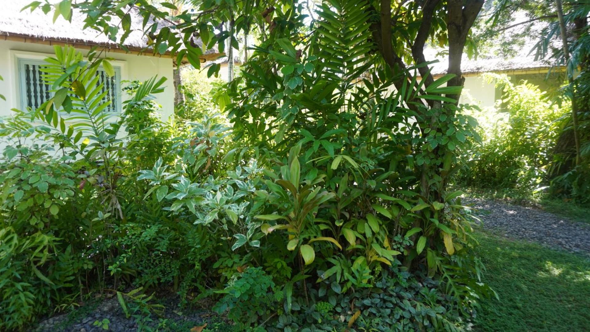 Photo 22
