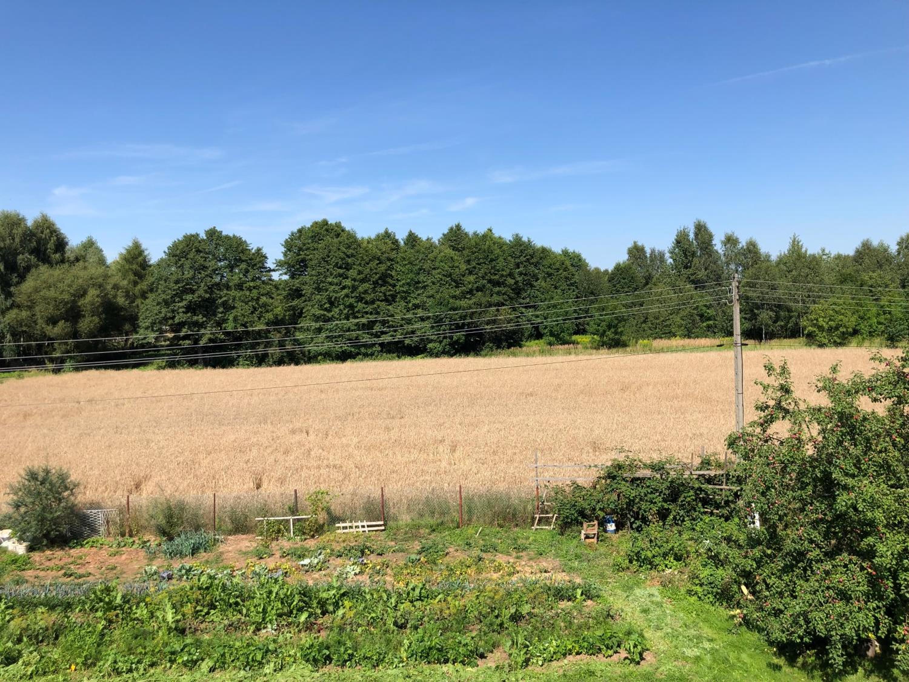 Domek na Jurze Krakowsko Częstochowskiej, Agroturystyka