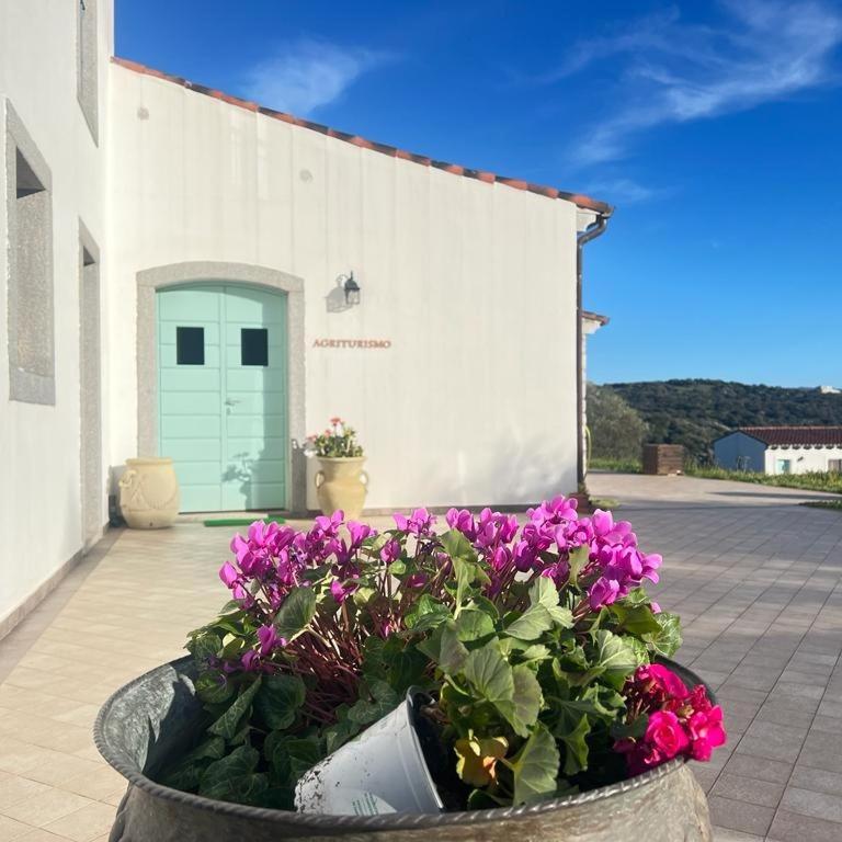 Tenute Testoni Agriturismo e B&B