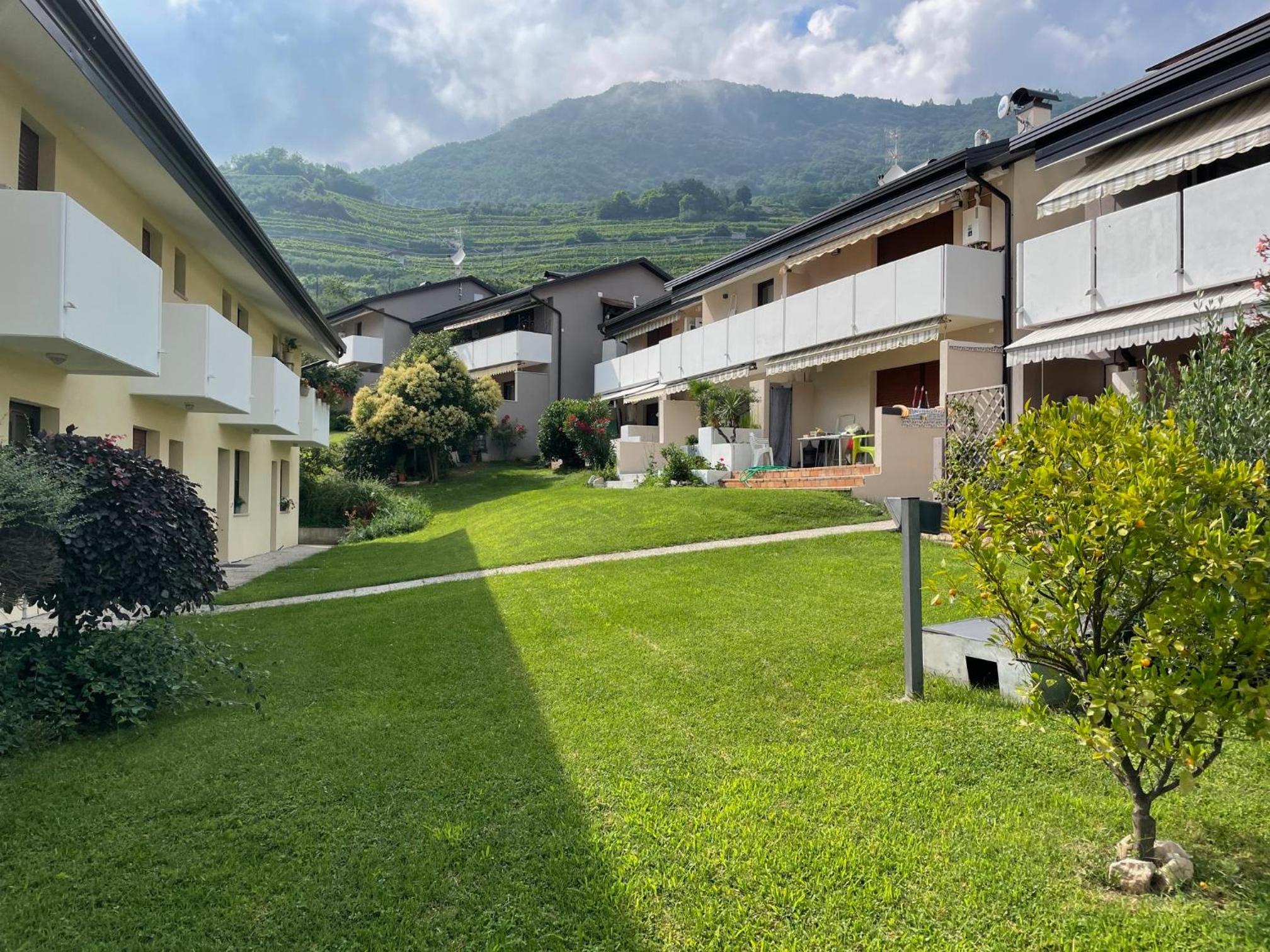 Garden Oasis house - stile moderno WiFi e piscina view 4