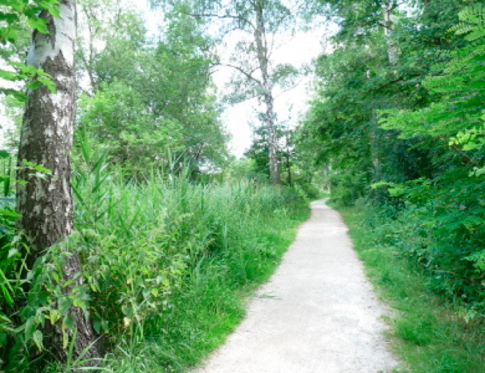 Ferienhaus nahe der Müritz