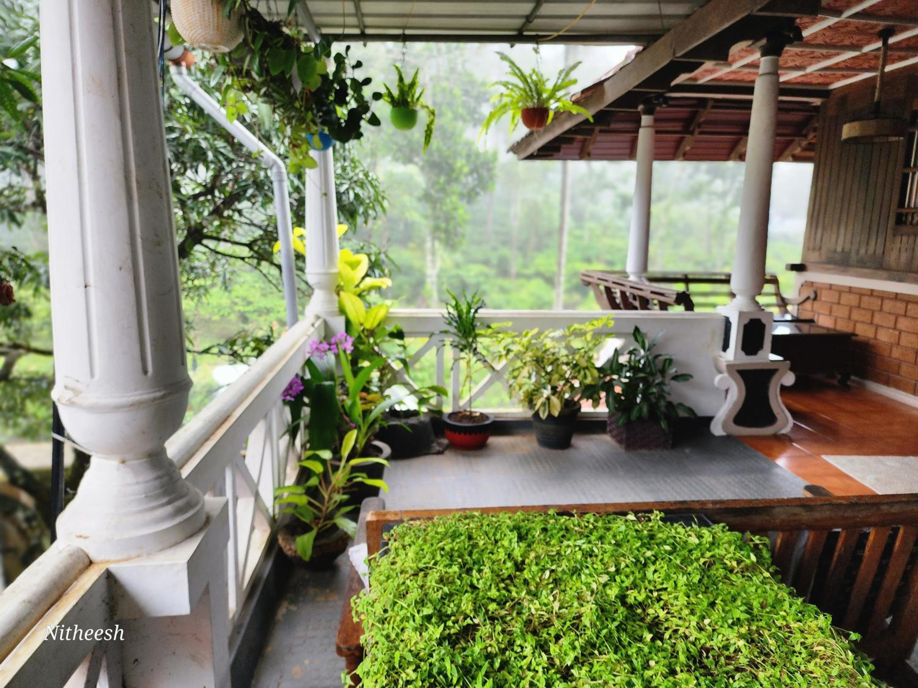 Thekkady Vacations - Kairali Palace Home Stay - Property Image 11