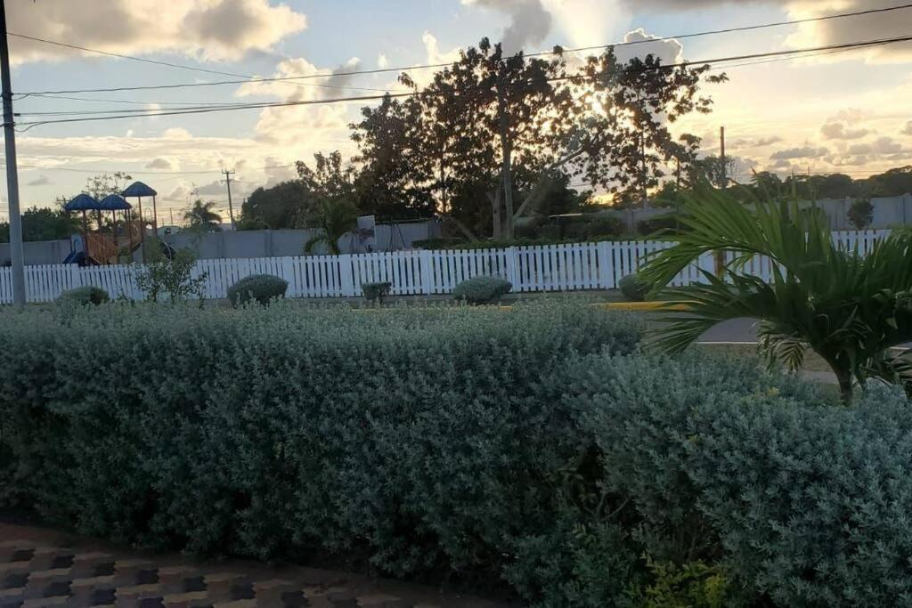 Jacaranda gated calm