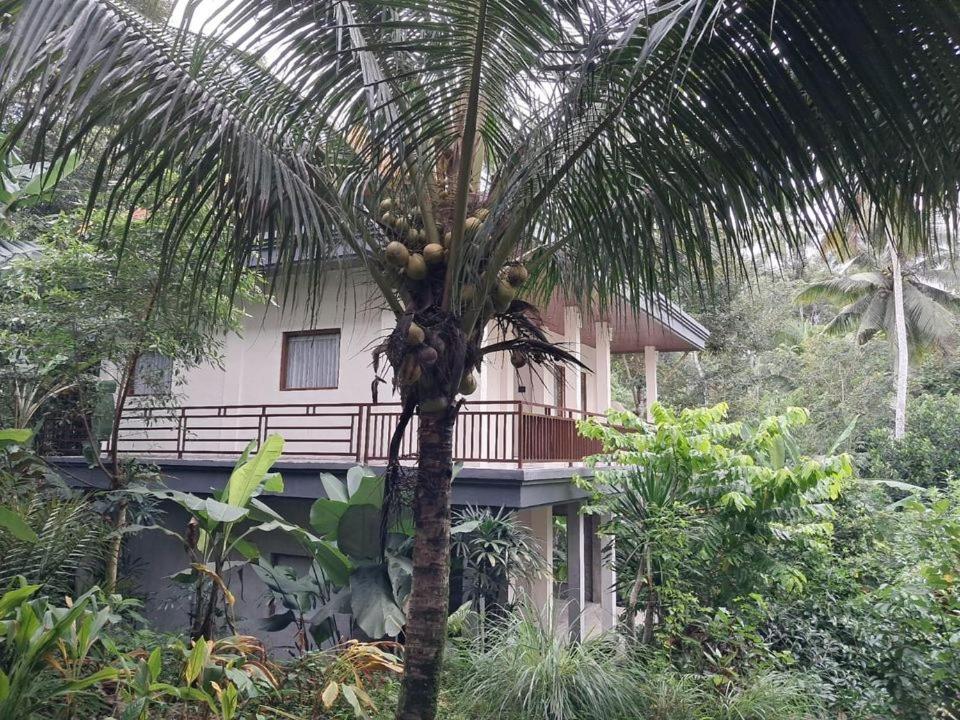 Jungle View House view 2