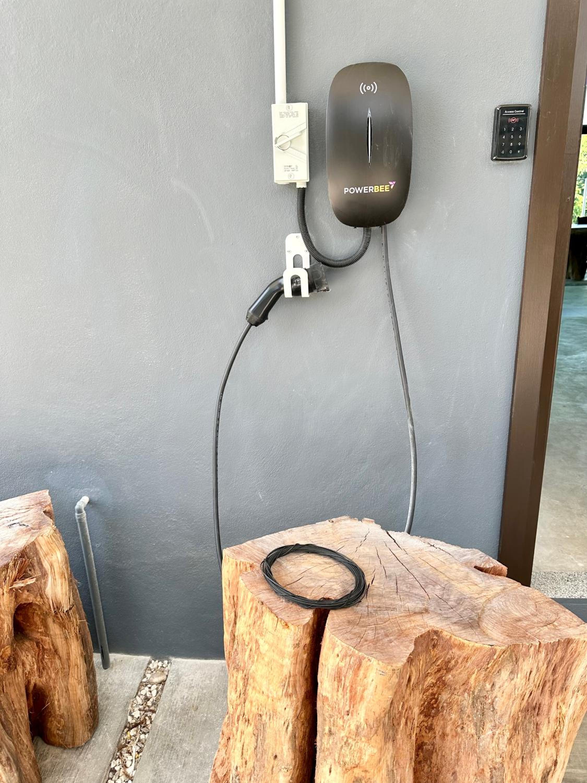 Photo 11