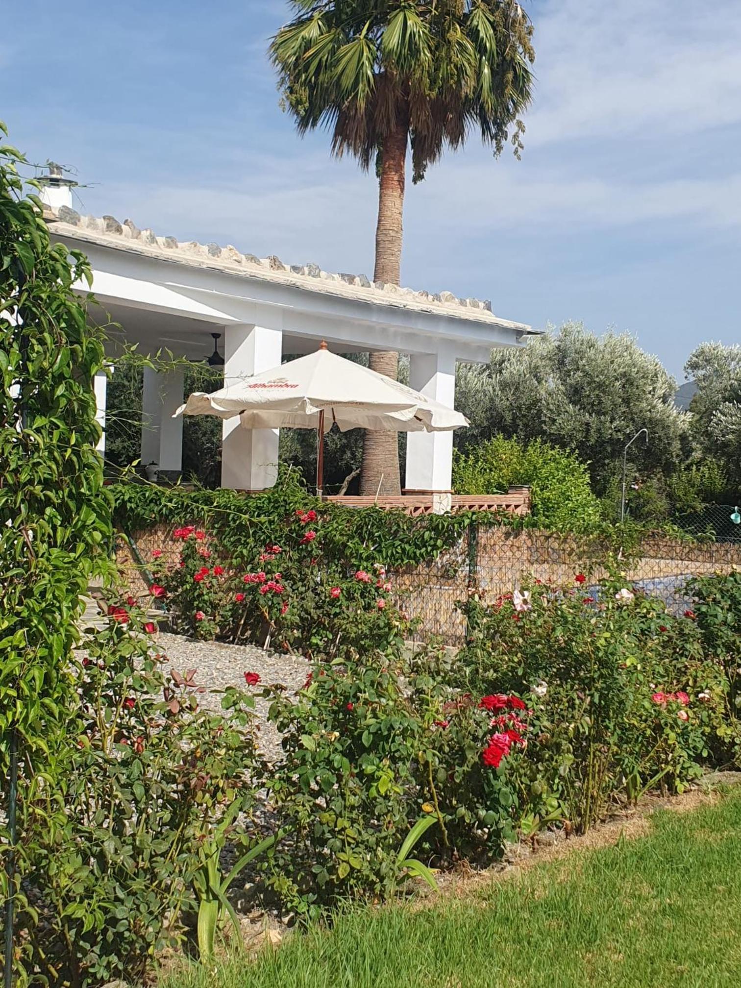 Casa María