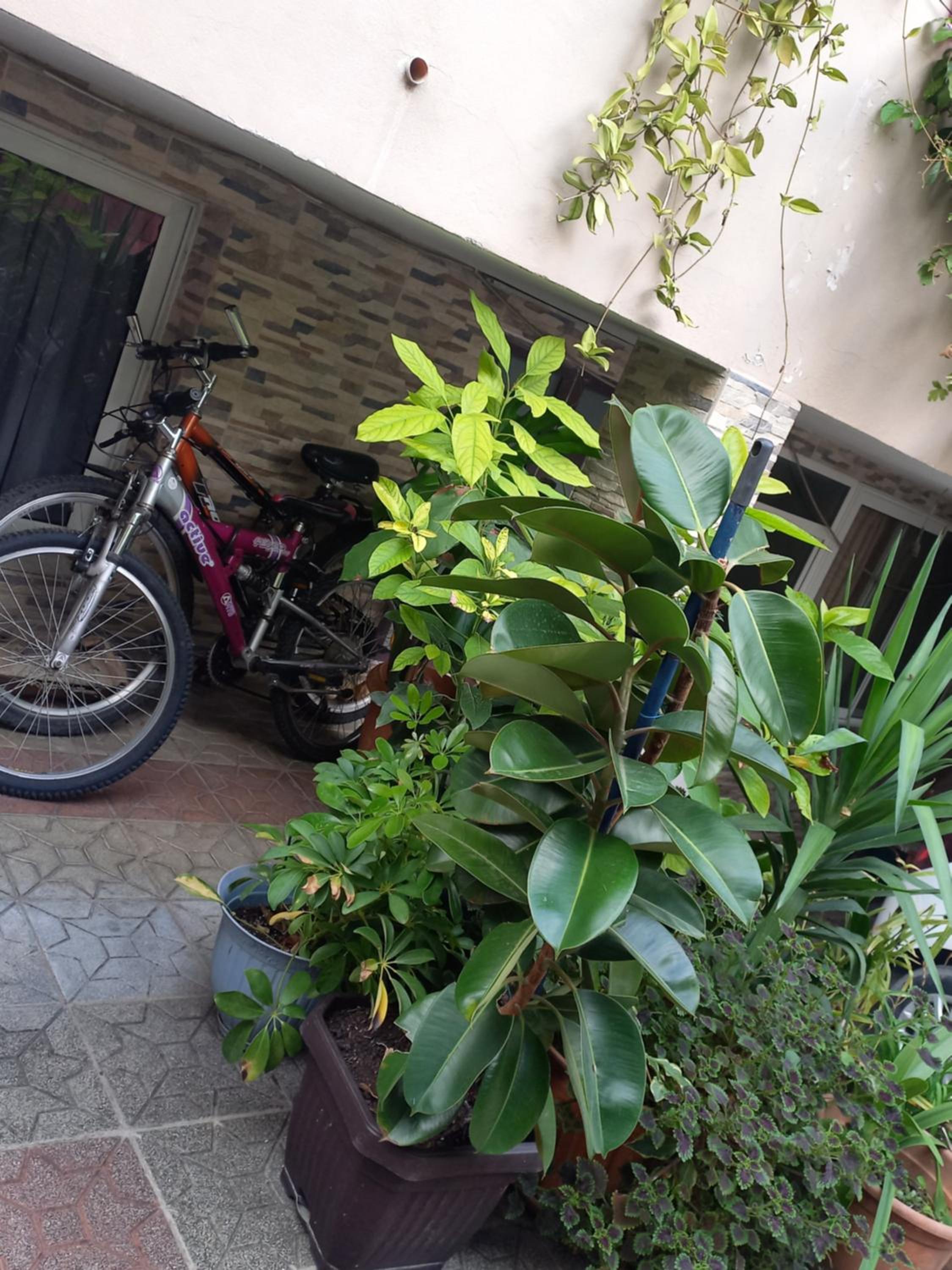 Flowers Guesthouse