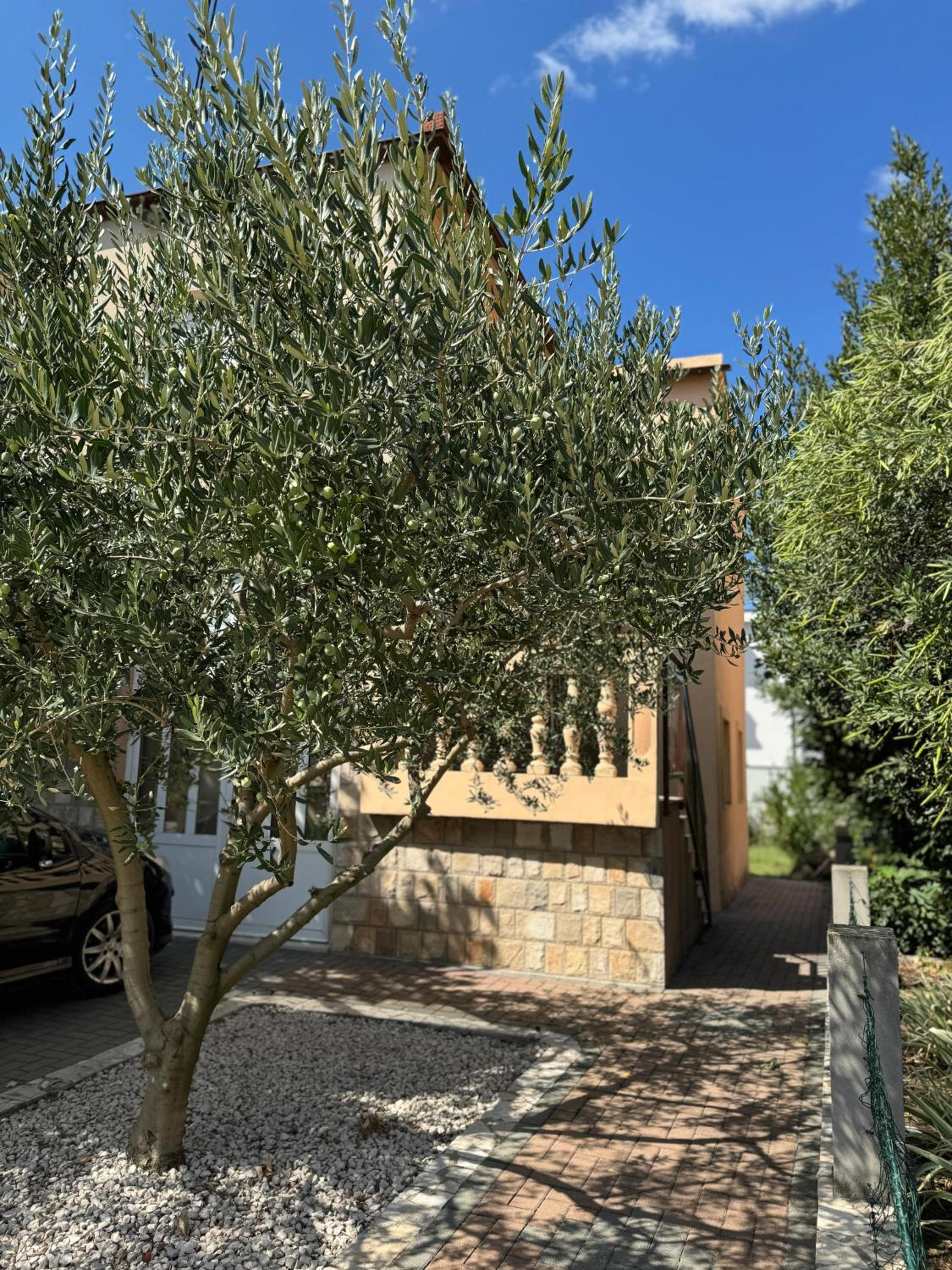 Apartman Kraljević