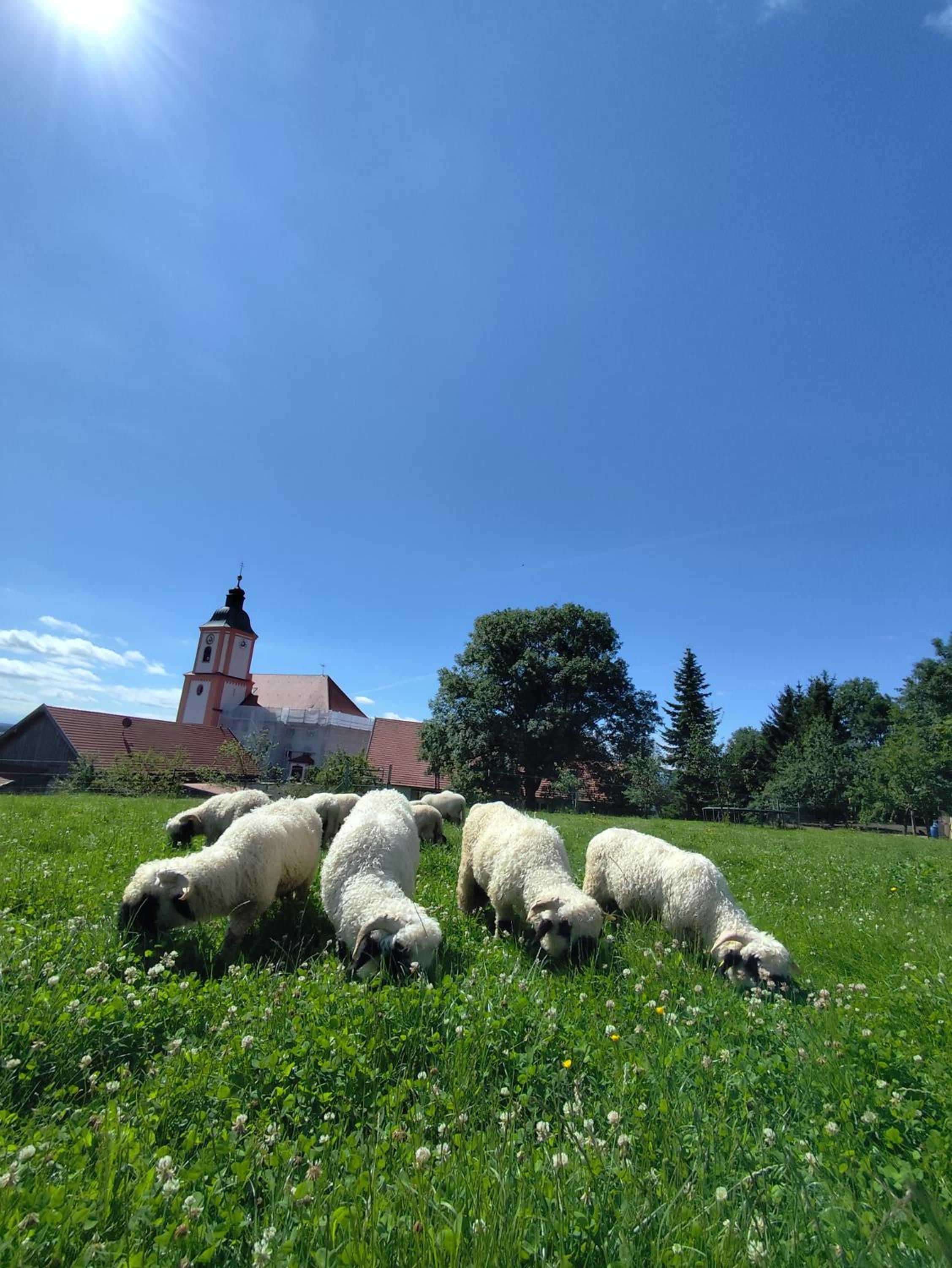 Lechrain Chalet- Luxusferienhaus am Biohof