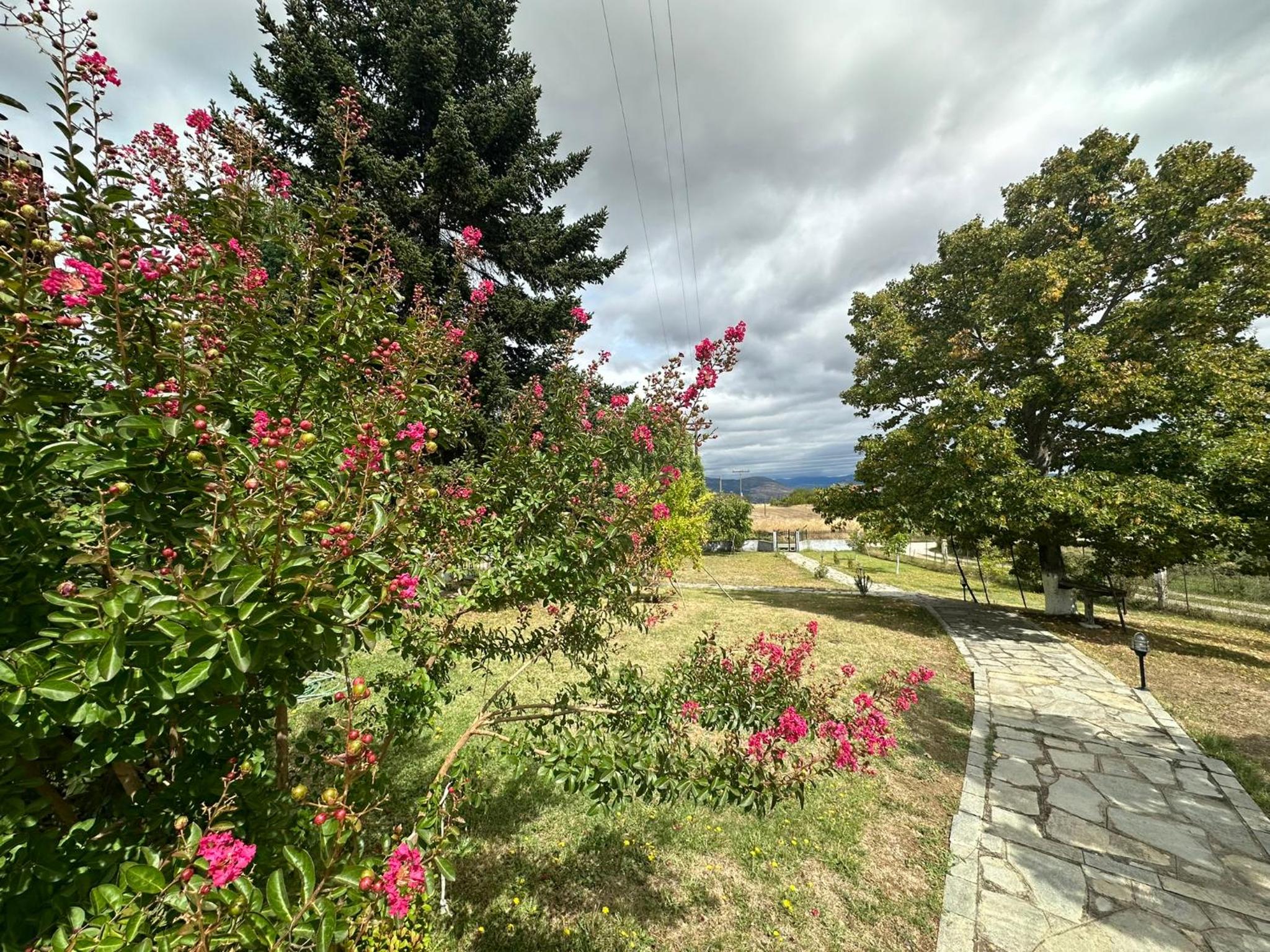 Villa Elysia